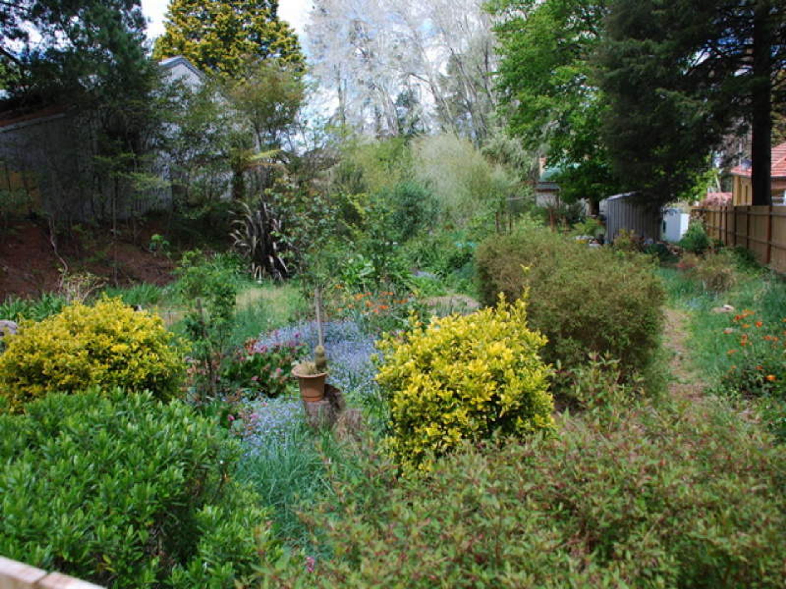 9 Camp Street, Katoomba - Thumbnail 3