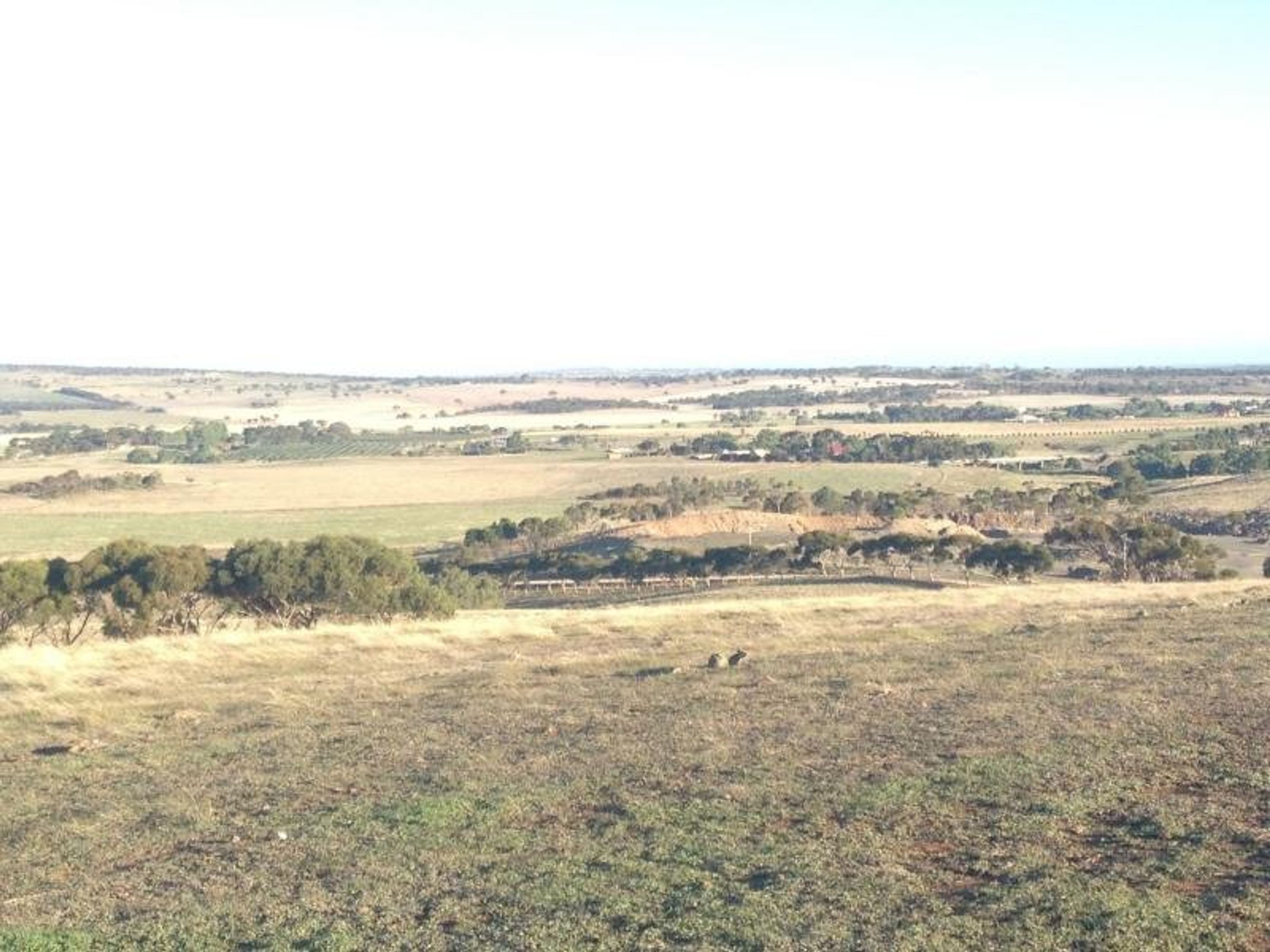 Lot 6, 2001 Samuels Road, Callington, SA 5254, Callington - Thumbnail 5