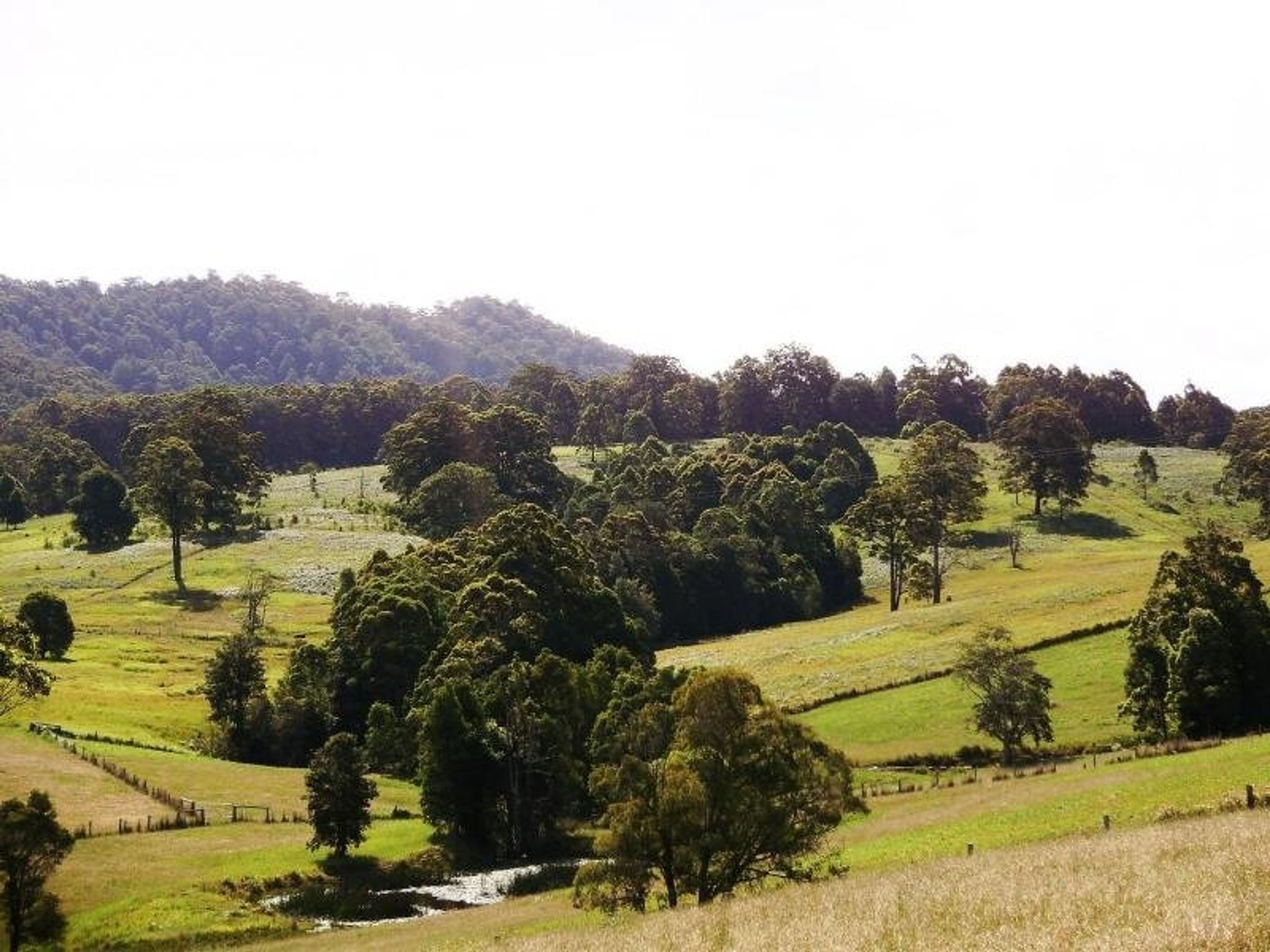 Killabakh, Killabakh - Thumbnail 6