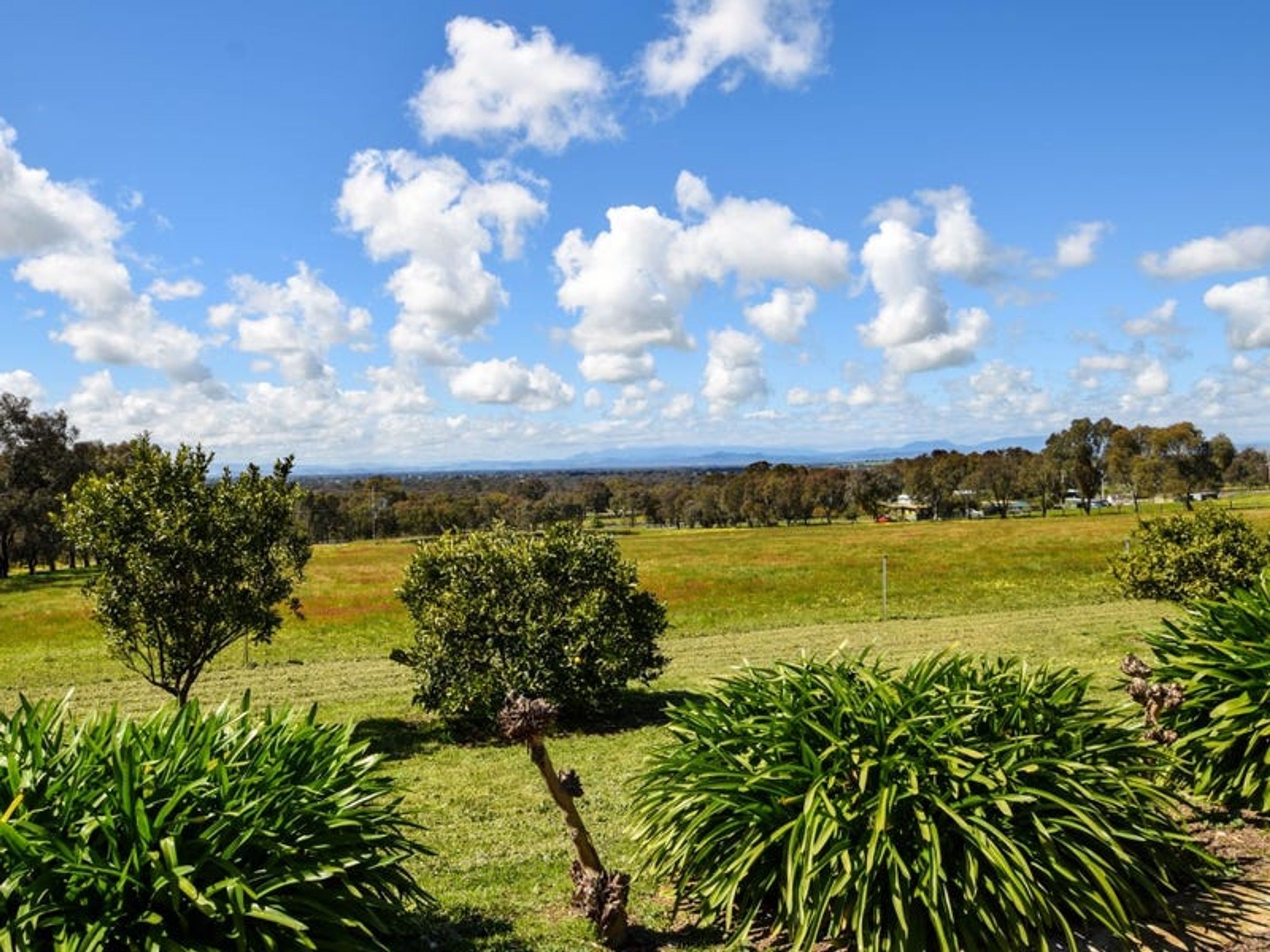 69 Warby Range Road, glenrowan, Glenrowan - Thumbnail 2
