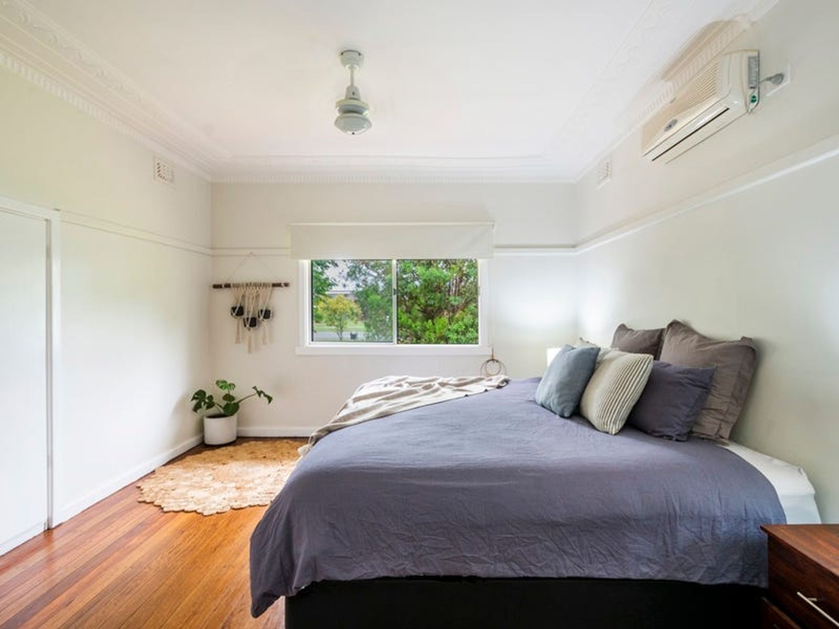 239 Arthur Street, Grafton - Thumbnail 7