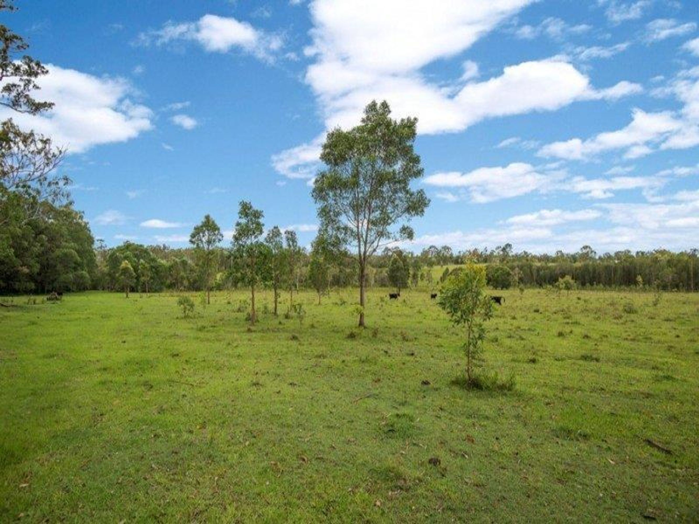 Lot 2 Summerland Way, Mountain View - Thumbnail 5