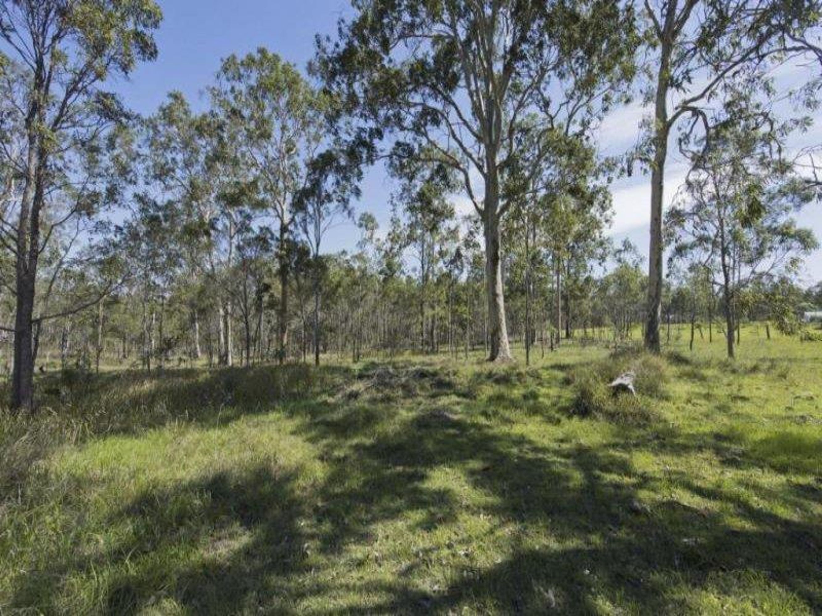 95 Old Glen Innes Road, Waterview Heights - Thumbnail 8