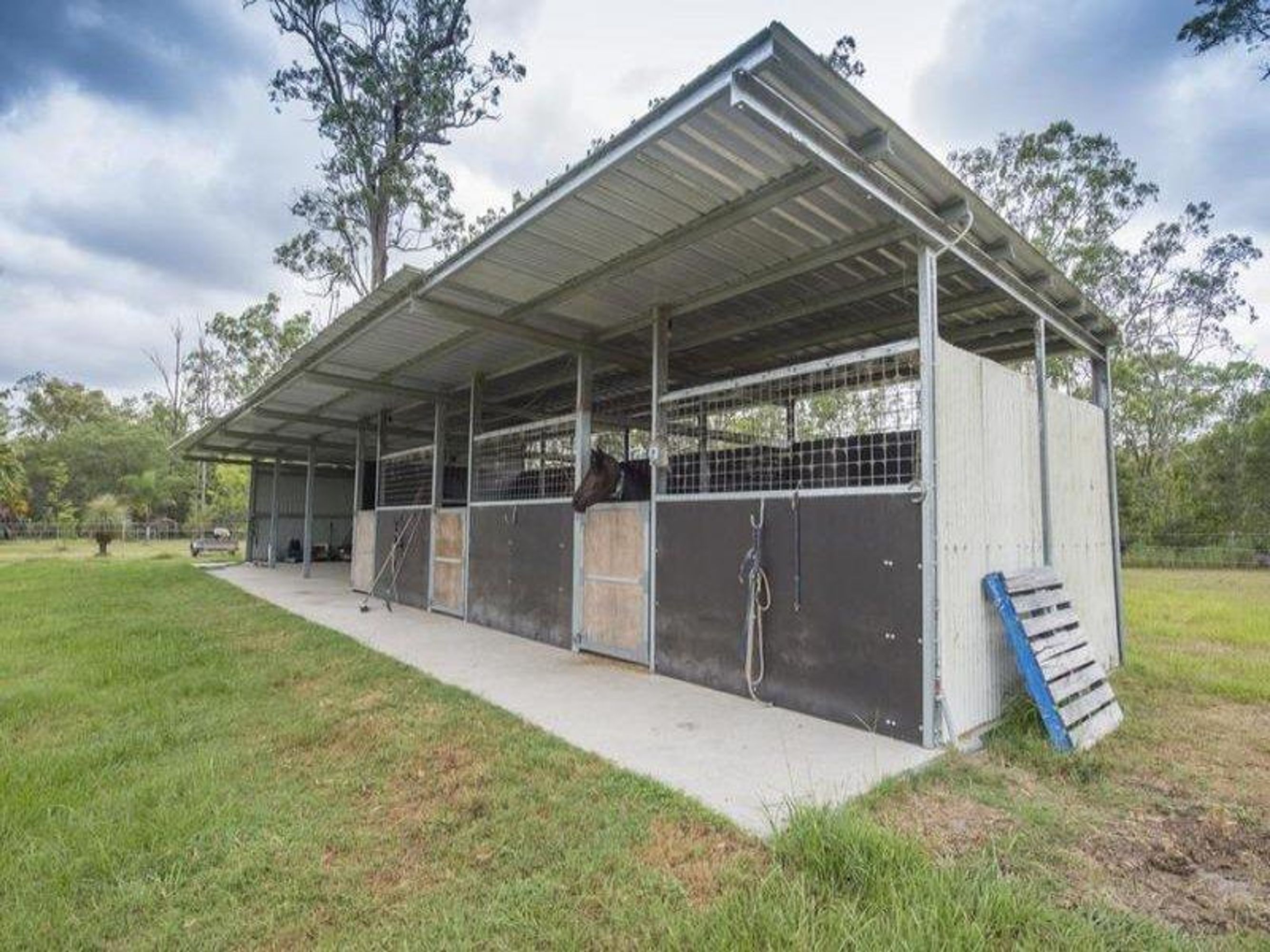 2463 Summerland Way, Dilkoon - Thumbnail 4