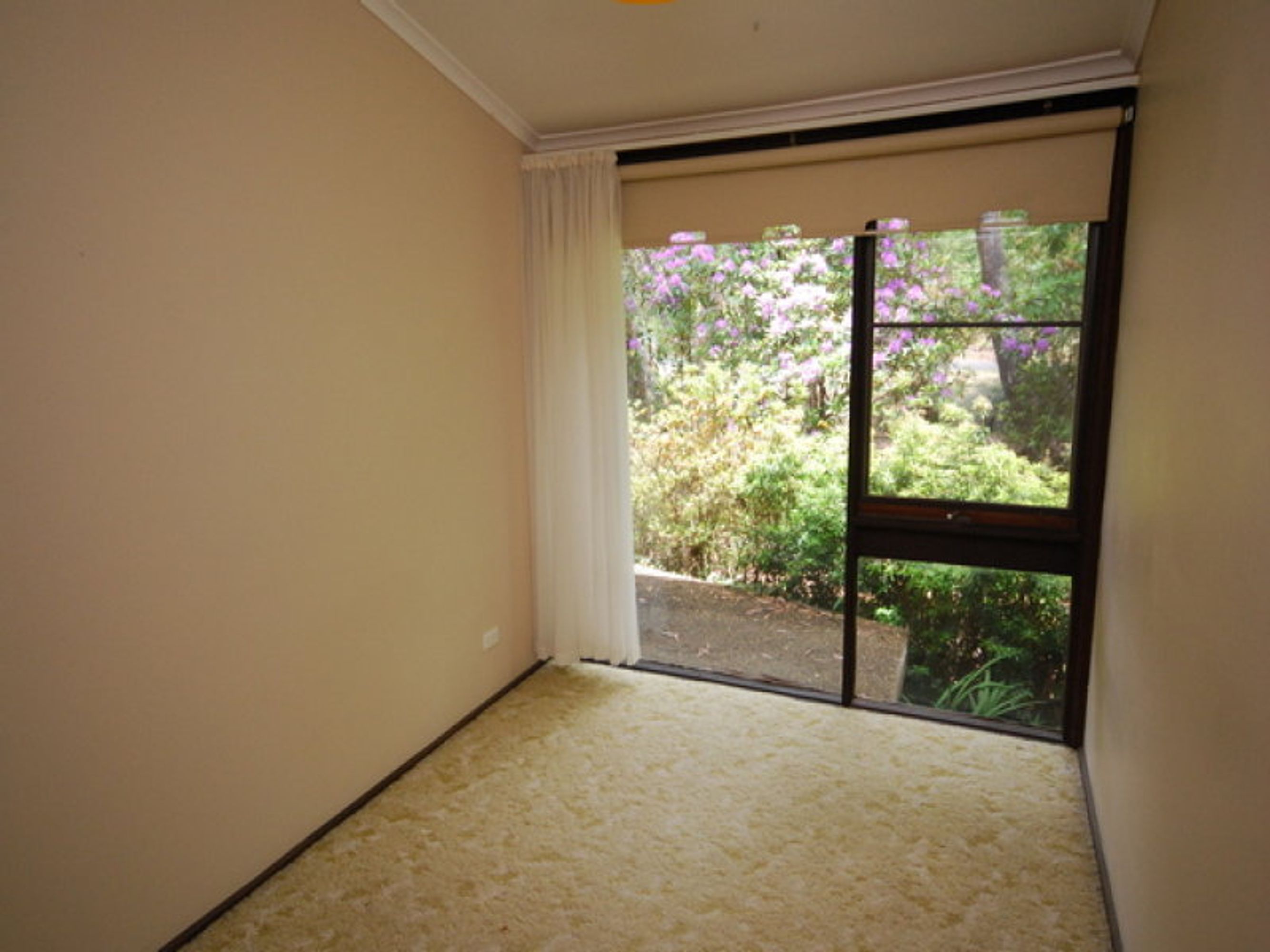 16 Essendene Road, Katoomba - Thumbnail 7