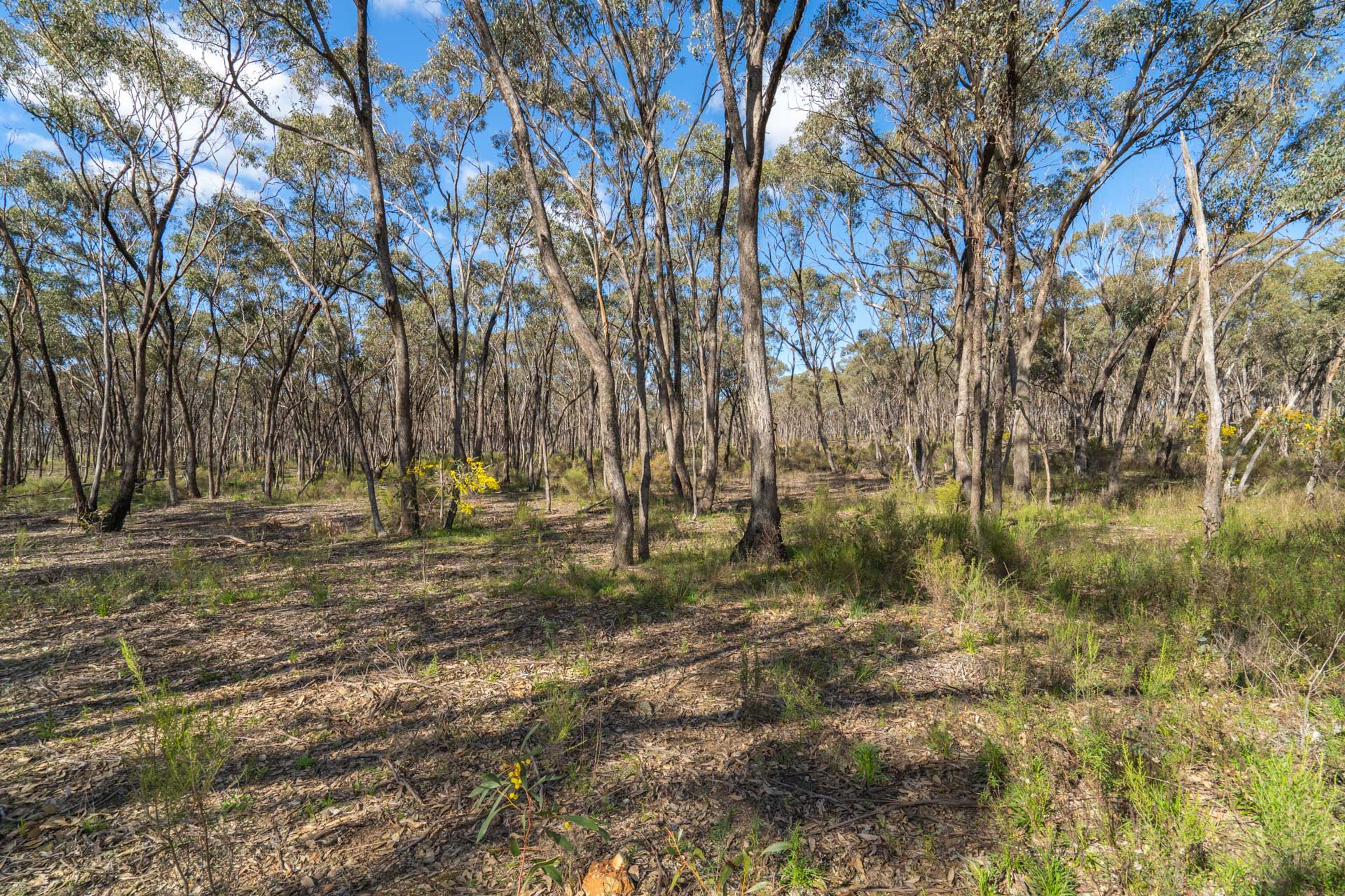 2068 McIvor Highway, Axedale, Axedale - Thumbnail 3