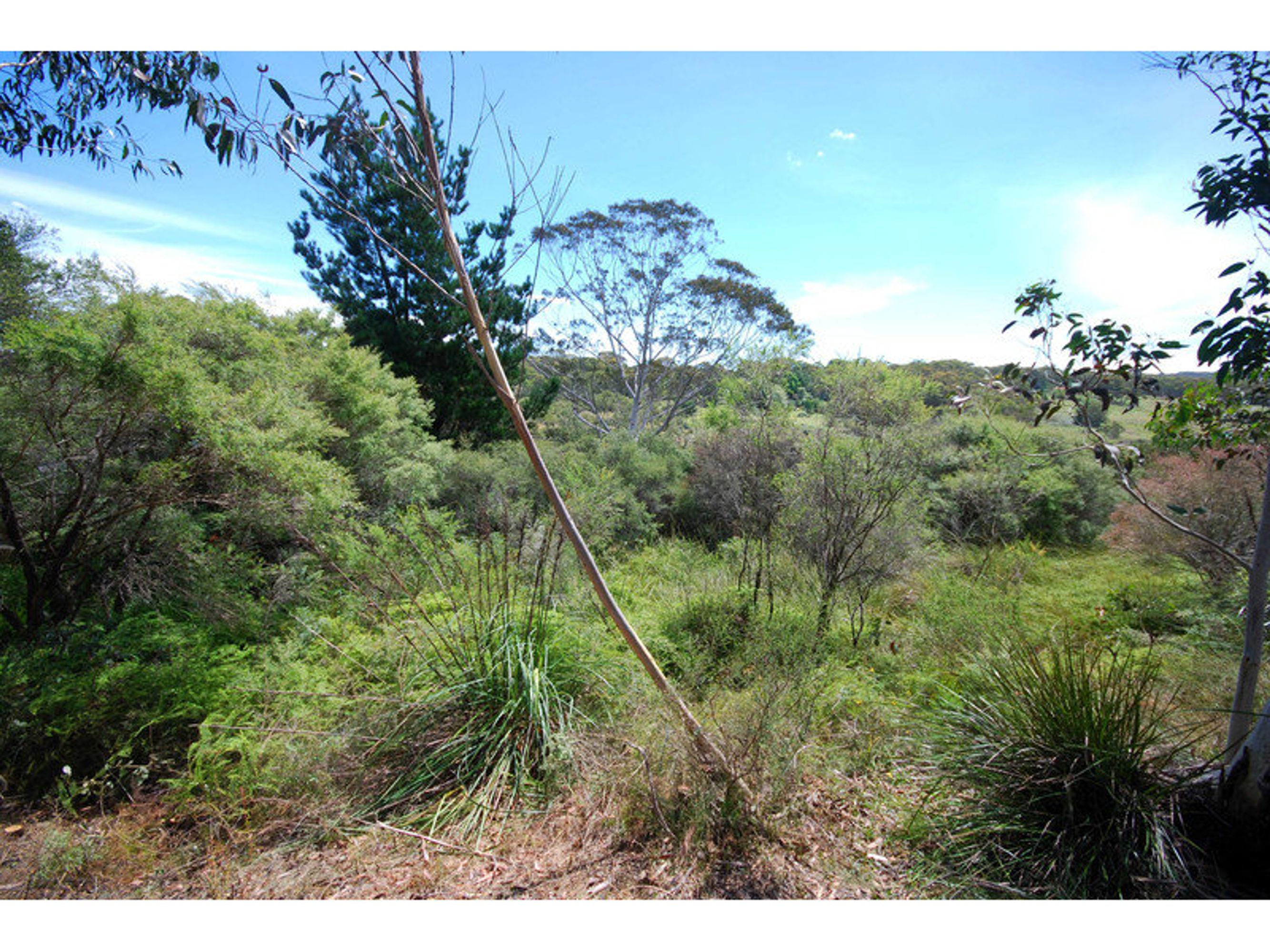 58 First Avenue, Katoomba - Thumbnail 4
