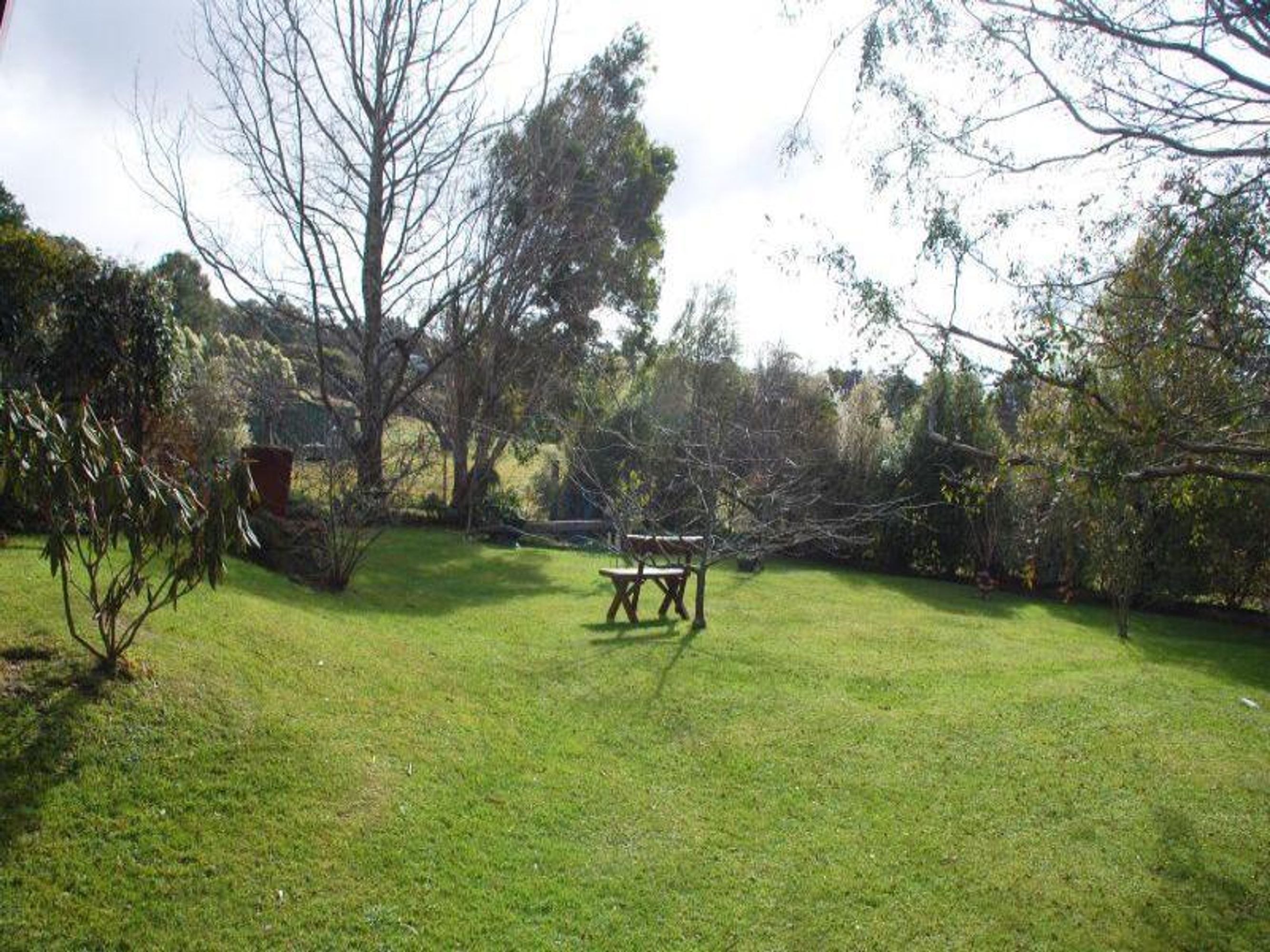 53 Stuarts Rd, Katoomba - Thumbnail 6