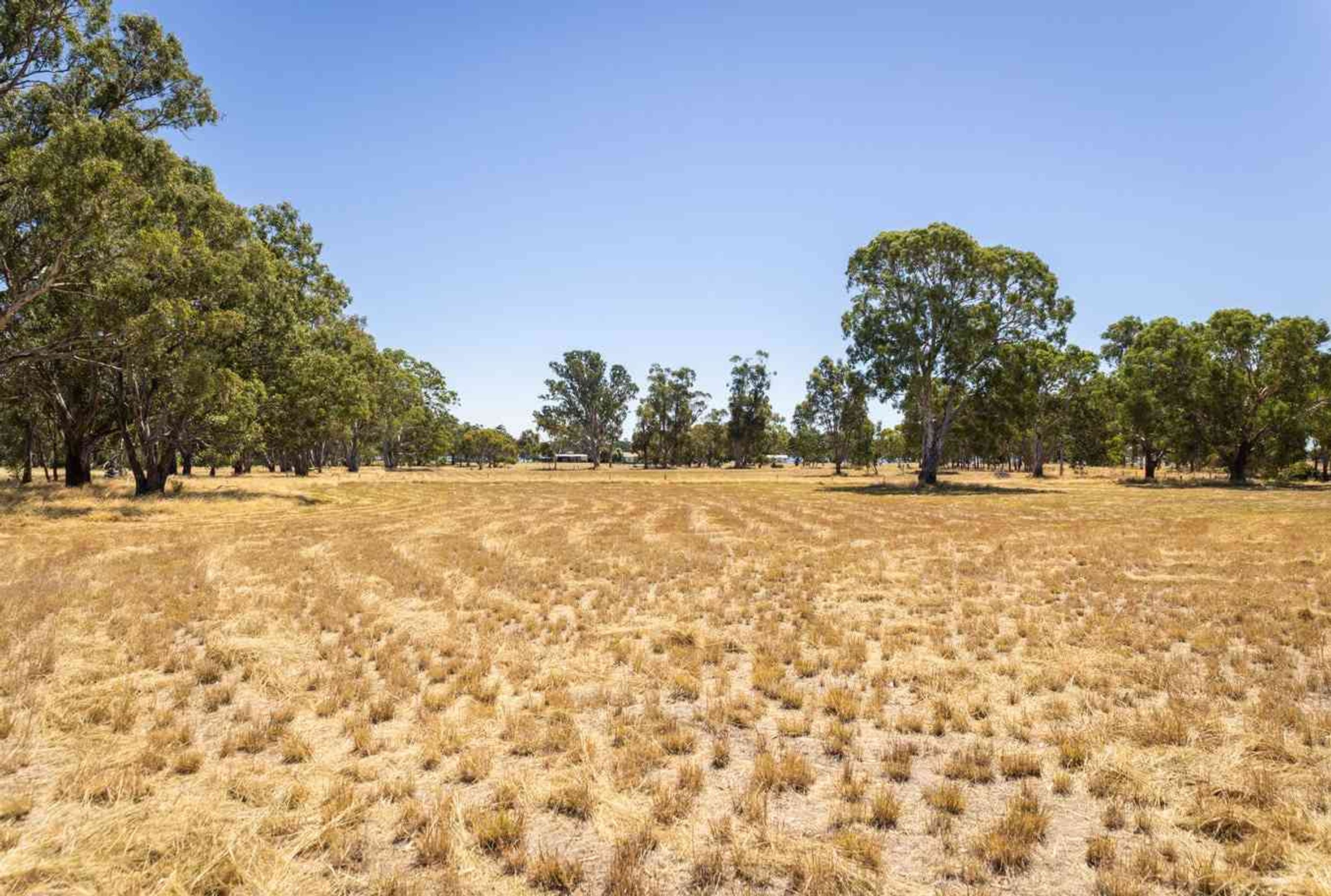 Lot 3 & 4/Section 3 Section 3 Kaniva-Edenhope Road, Peronne VIC 3413, Peronne - Thumbnail 2
