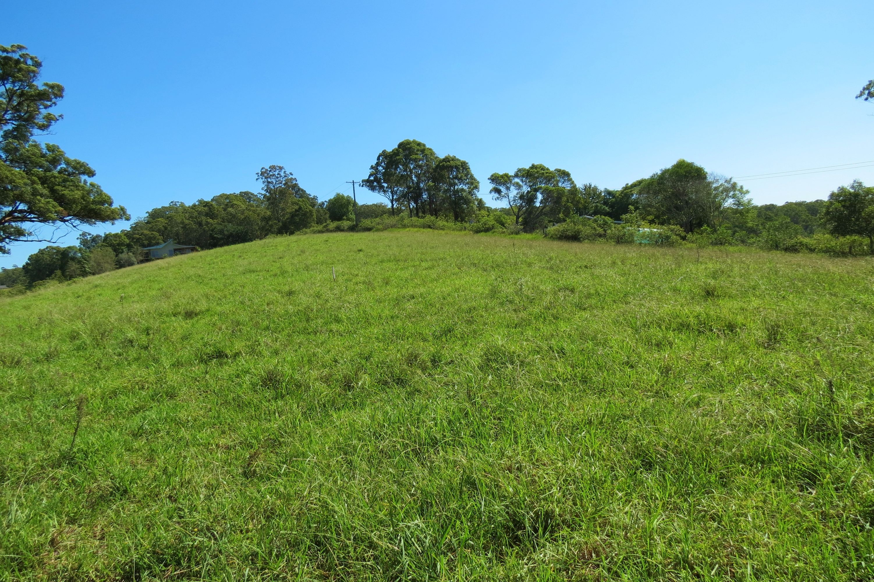 Tinonee, Tinonee - Thumbnail 7