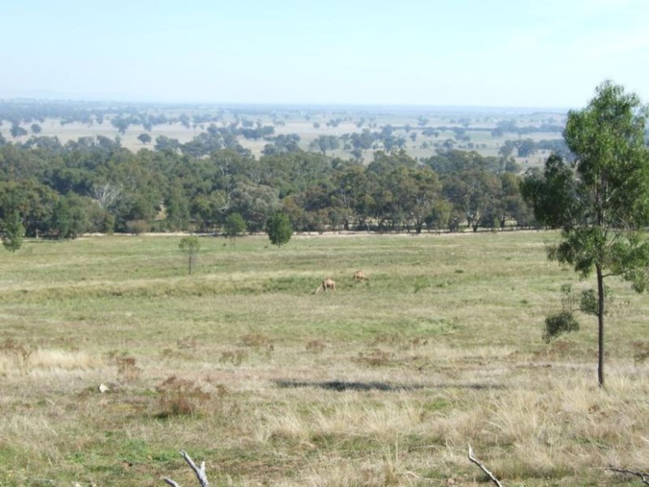 glenrowan, Glenrowan - Thumbnail 4