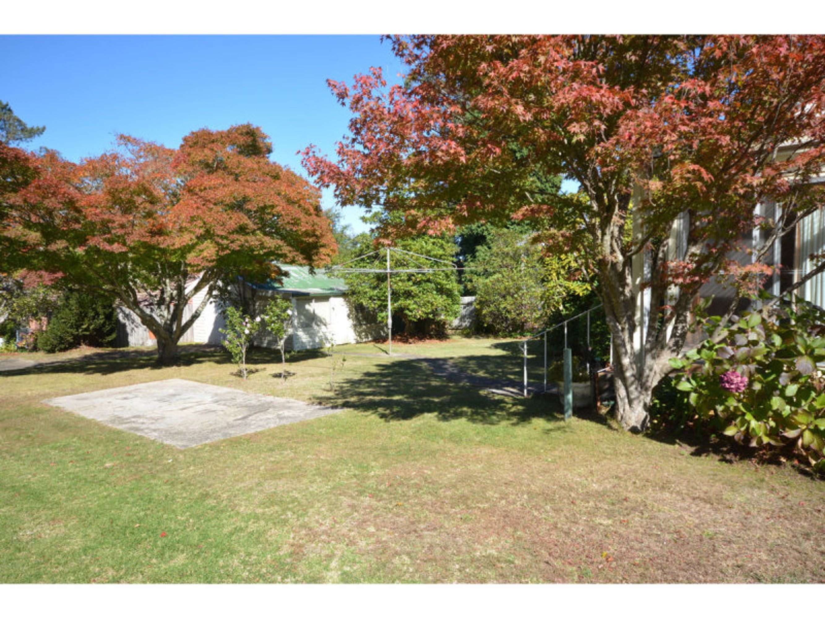 165 Hat Hill Road, Blackheath - Thumbnail 8