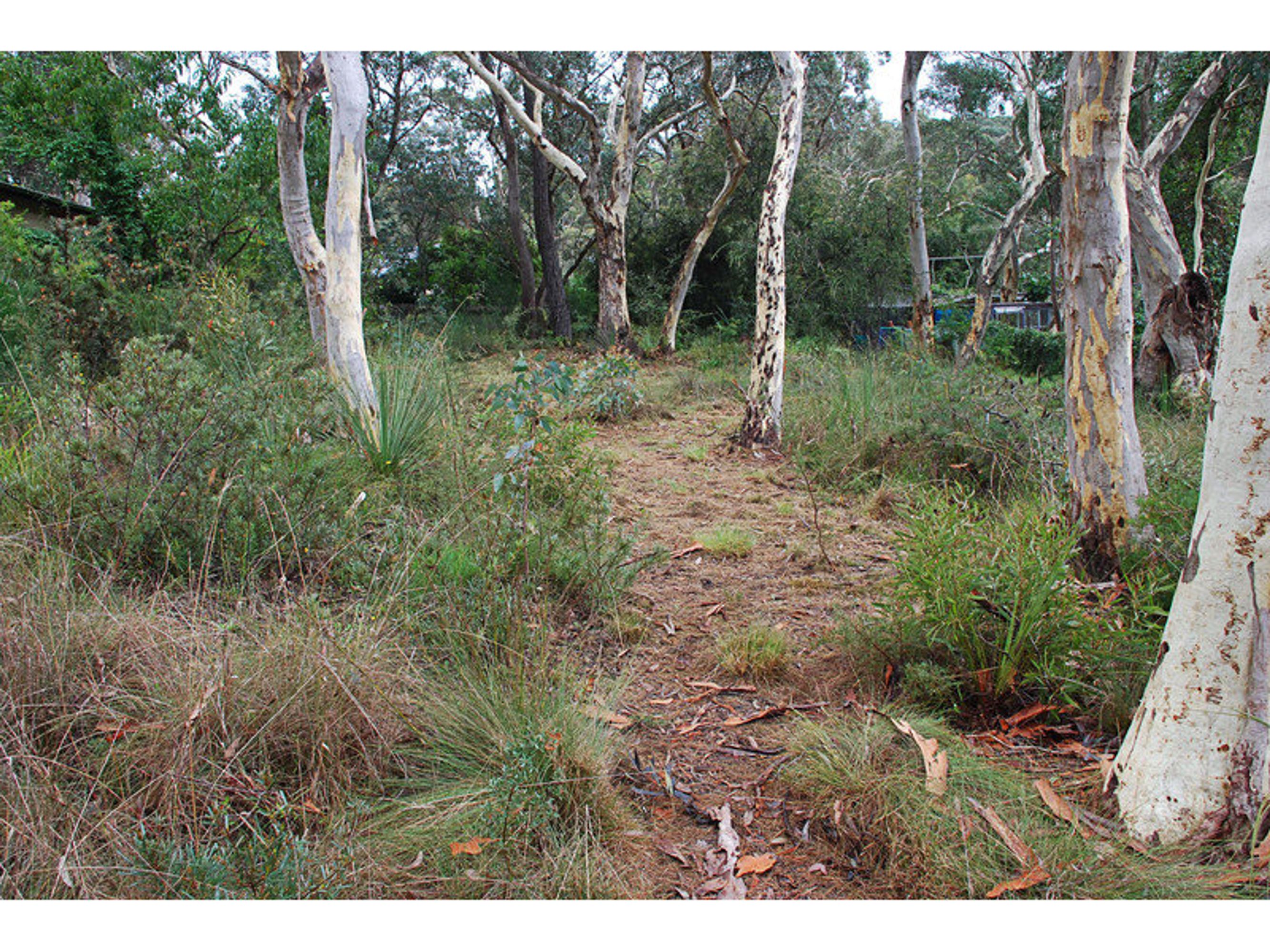 90 Minni Ha Ha Road, Katoomba - Thumbnail 3
