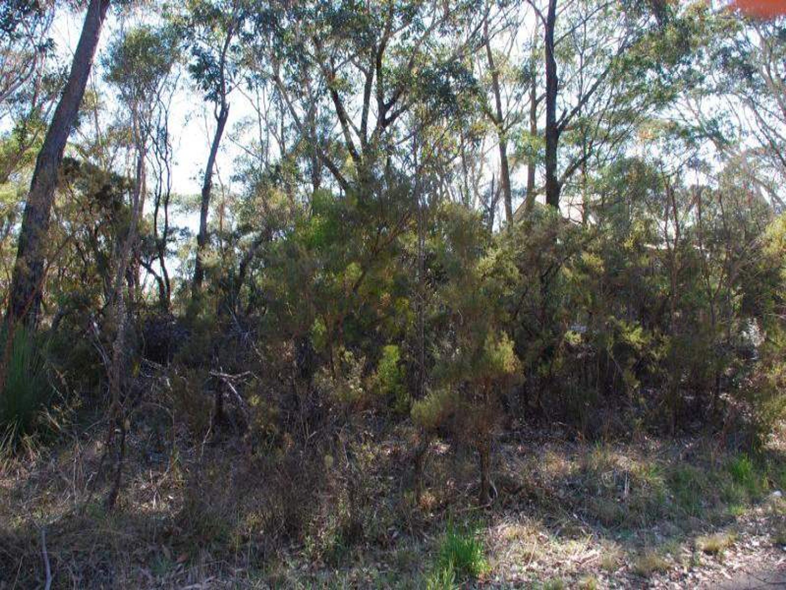 27-29 Foy Ave, Medlow Bath - Thumbnail 5