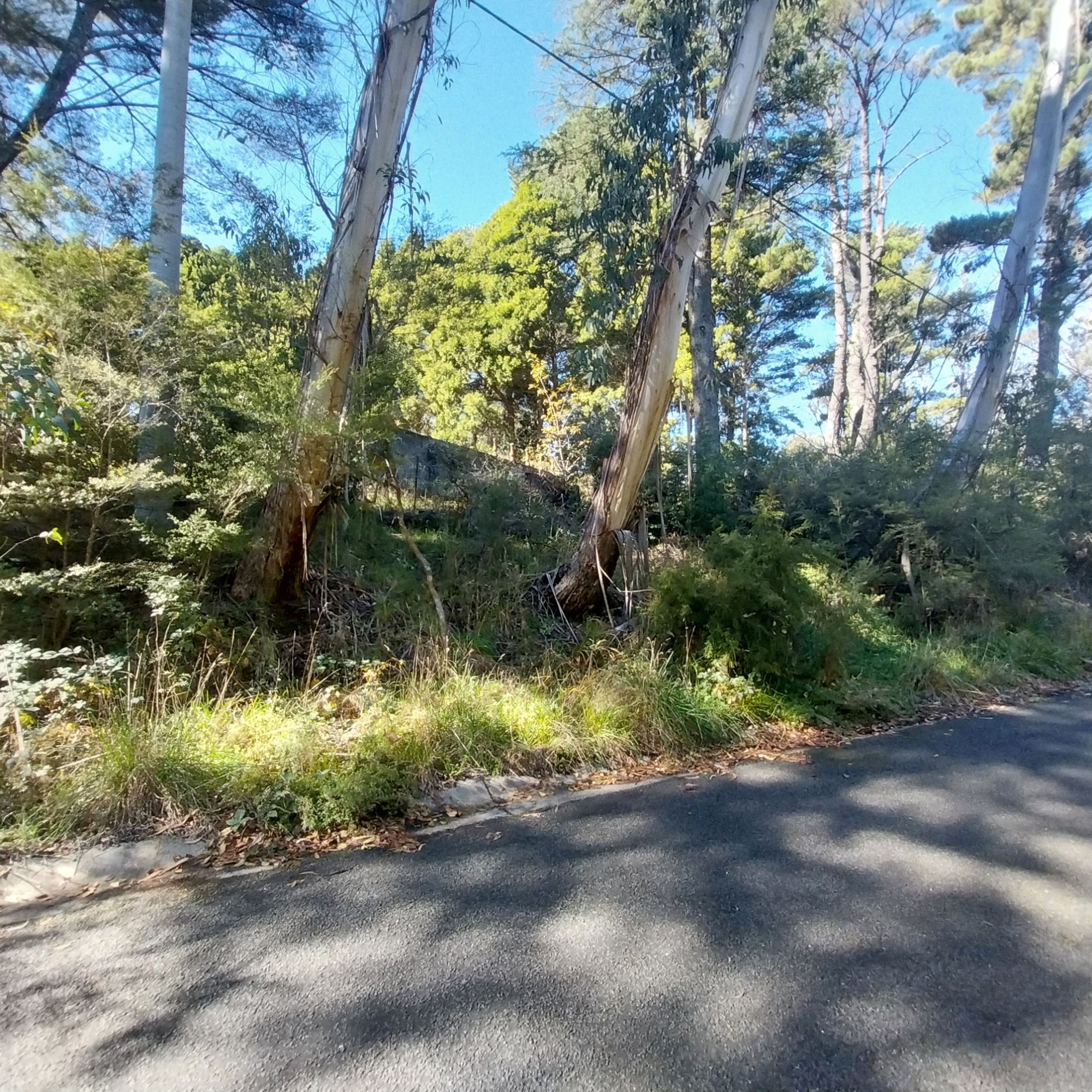 Lot 2 45-47 Great Western Highway, Mount Victoria - Thumbnail 7