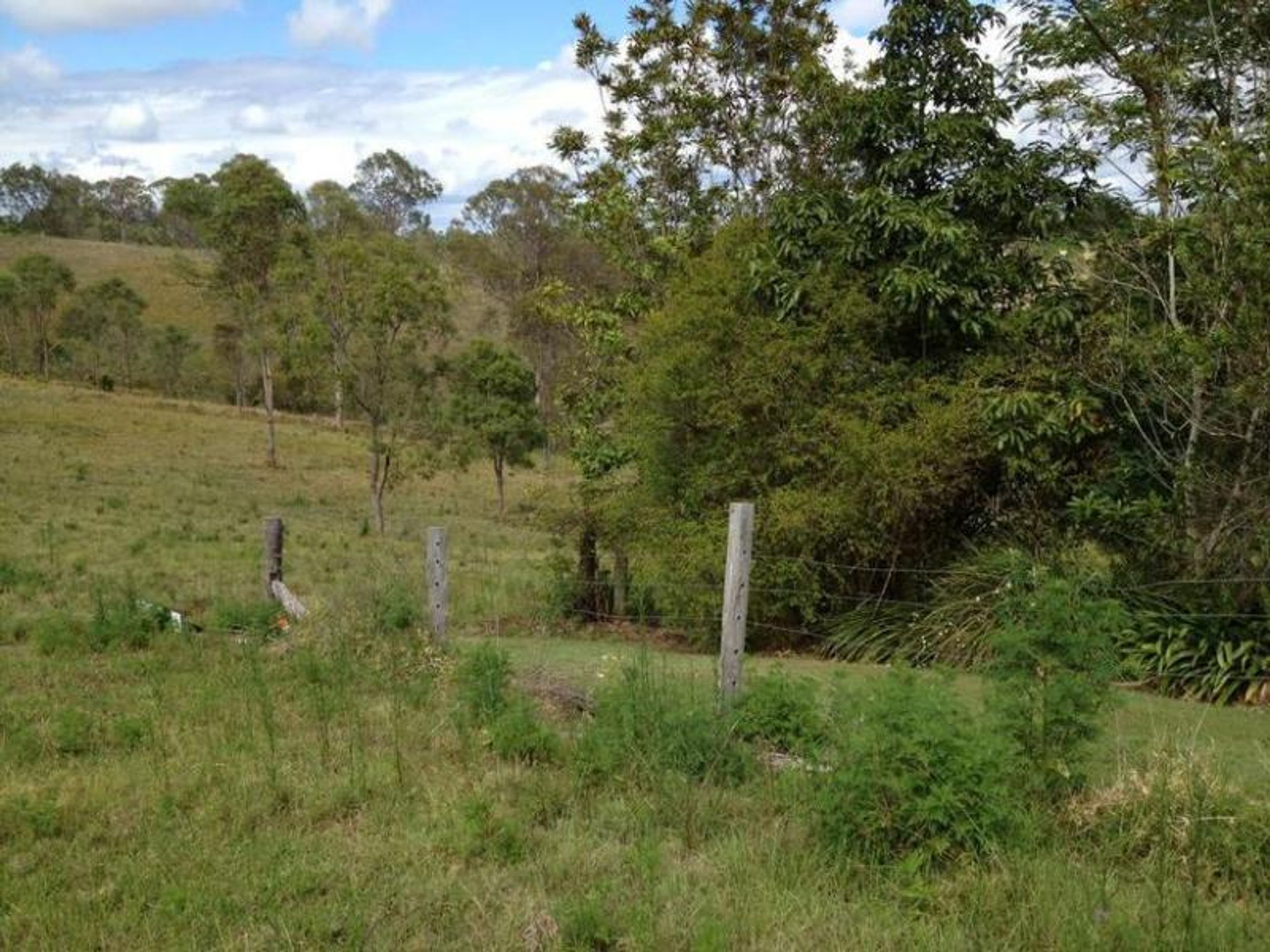 14 Bush Drive, South Grafton - Thumbnail 4