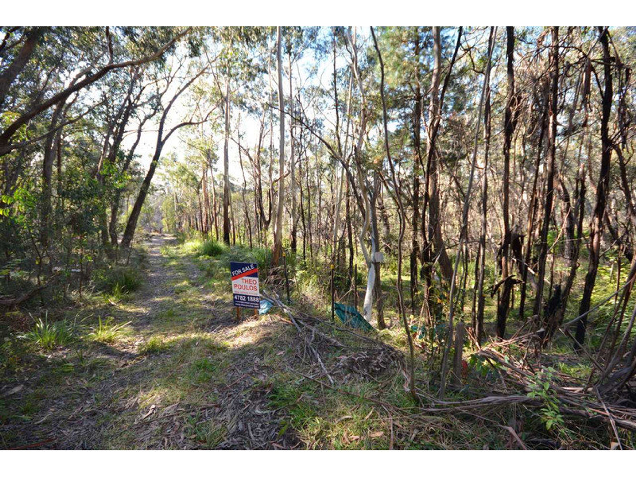 9 Balmoral Road, Mount Victoria - Thumbnail 4