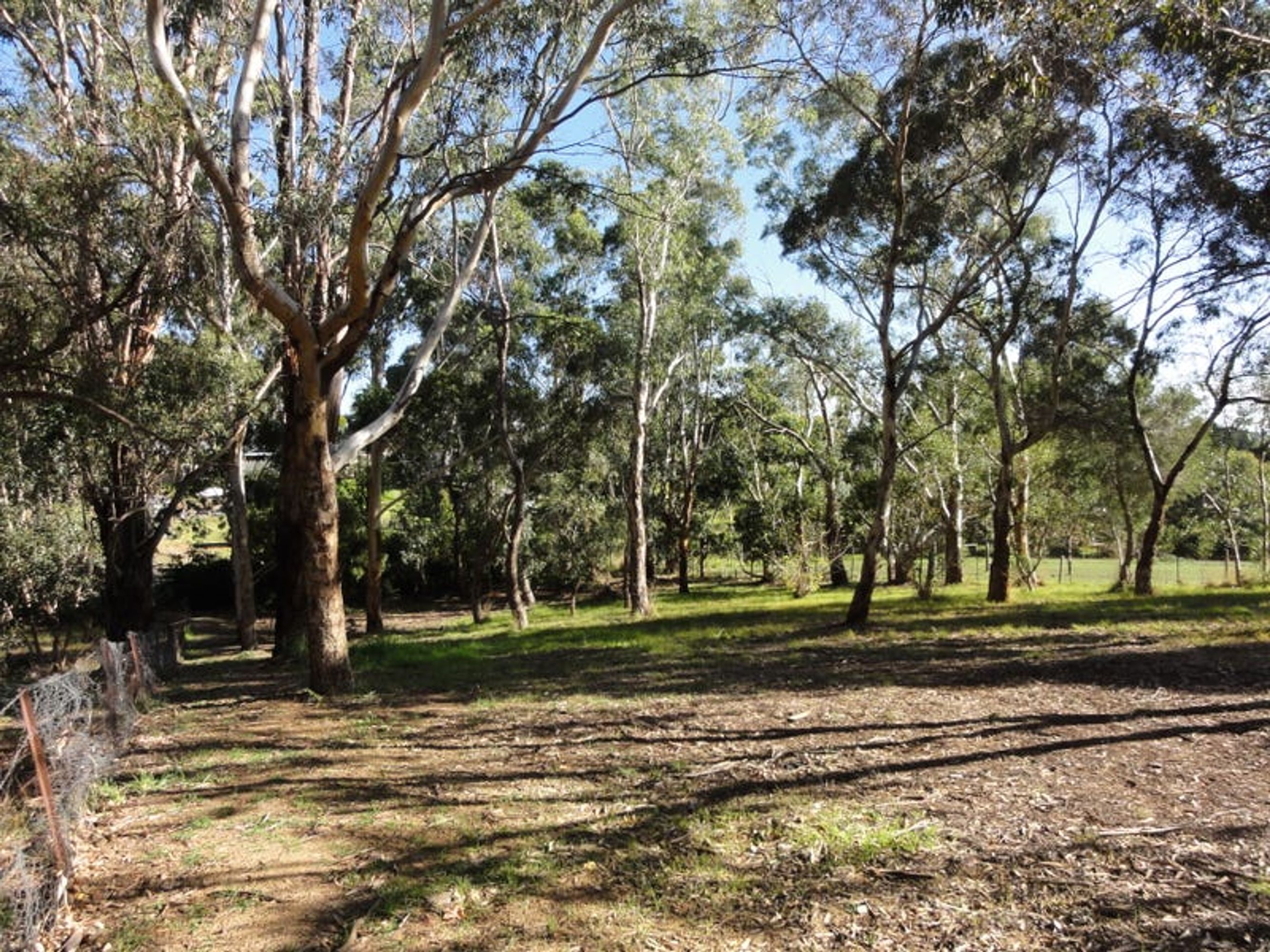 28 Marianna Street, Echunga, SA 5153, Echunga - Thumbnail 2