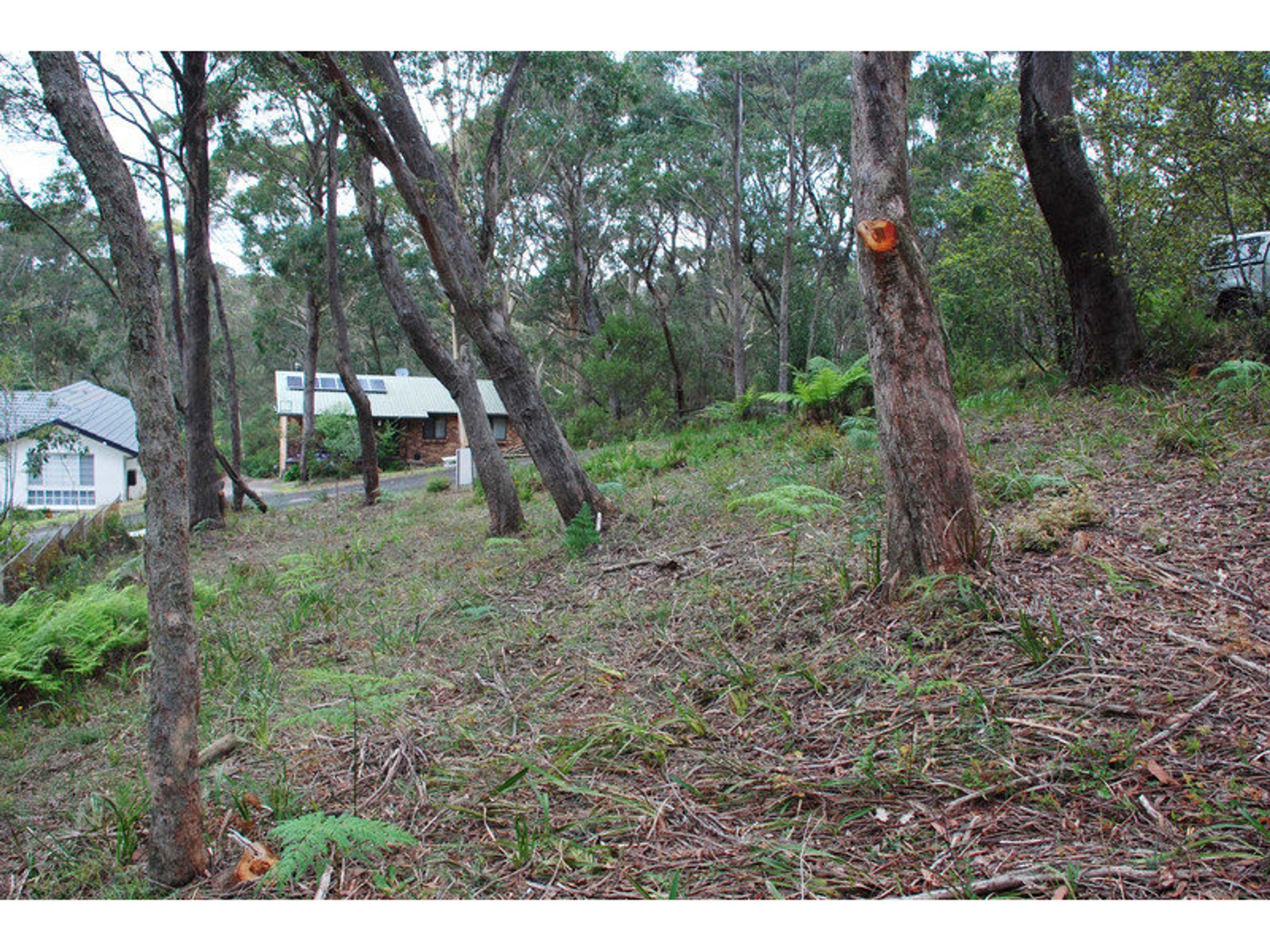100 North Street, Katoomba - Thumbnail 2