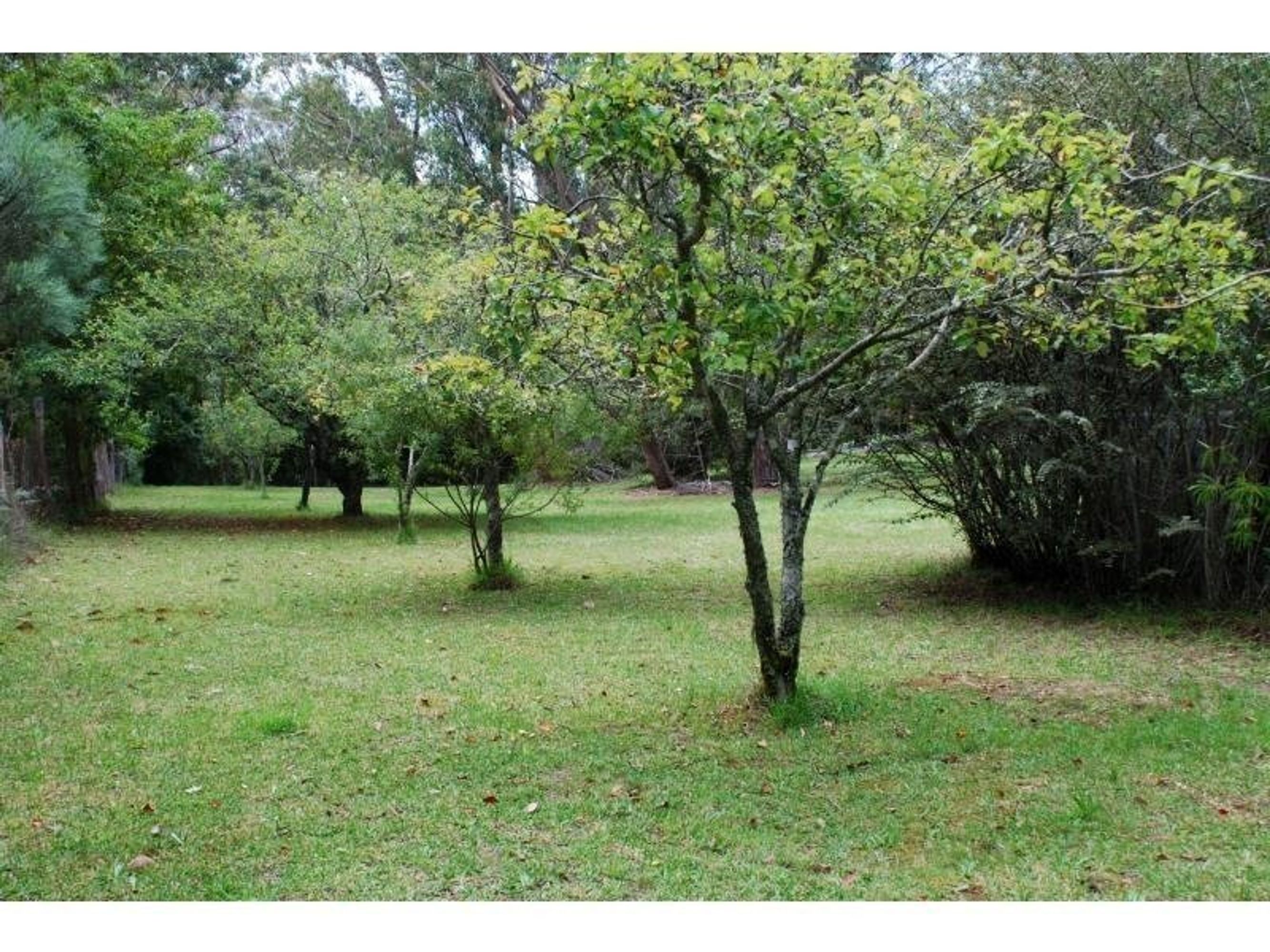 18-24 Lawson View Pde, Wentworth Falls - Thumbnail 4