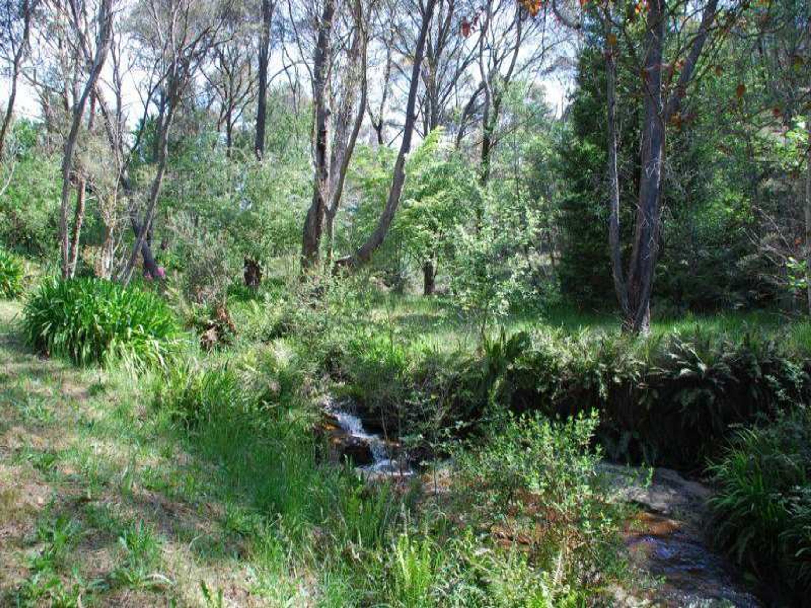 68 Mount St, Leura - Thumbnail 4