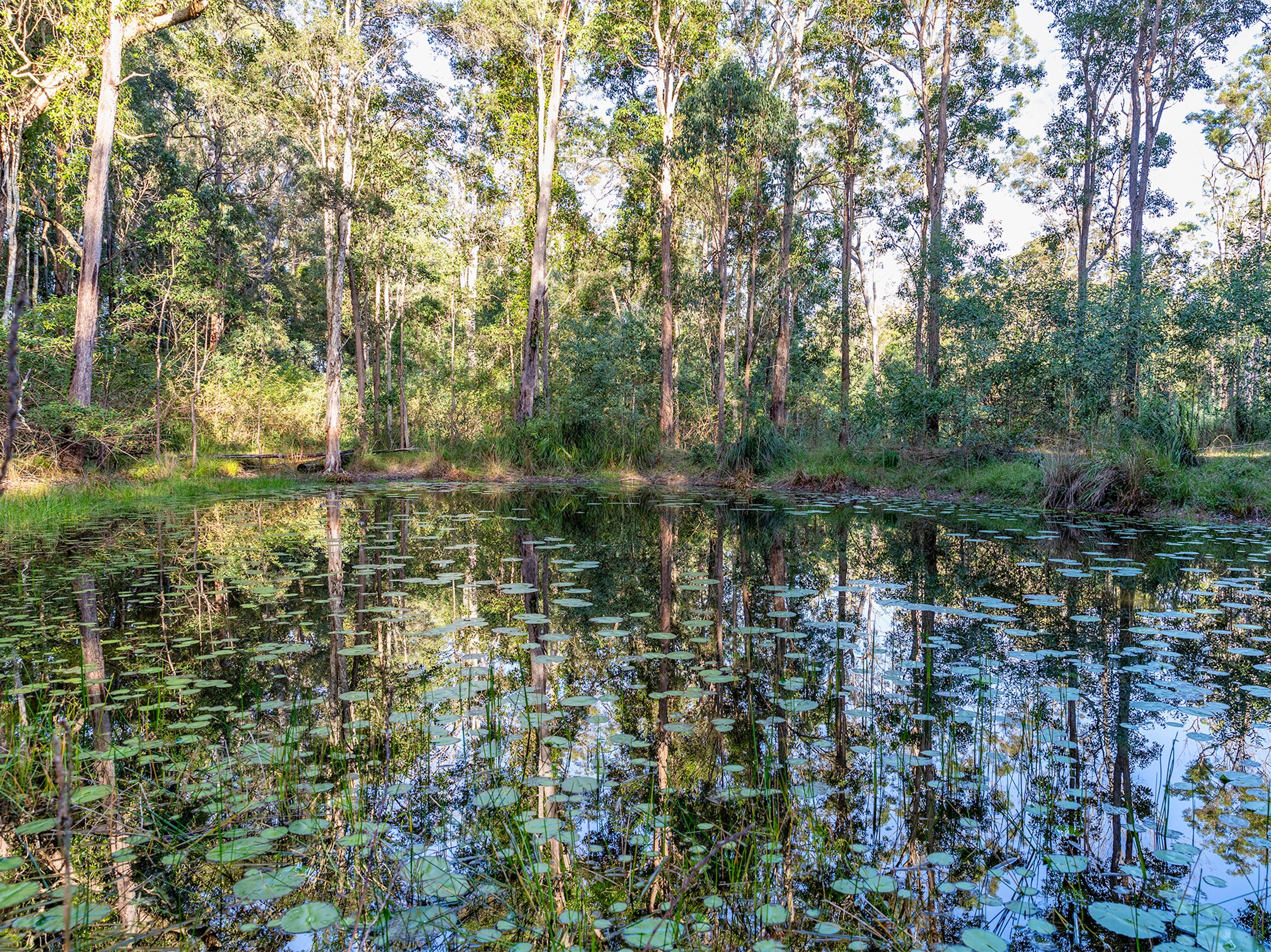 522 Ashby Tullymorgan Road, Ashby Heights - Thumbnail 4