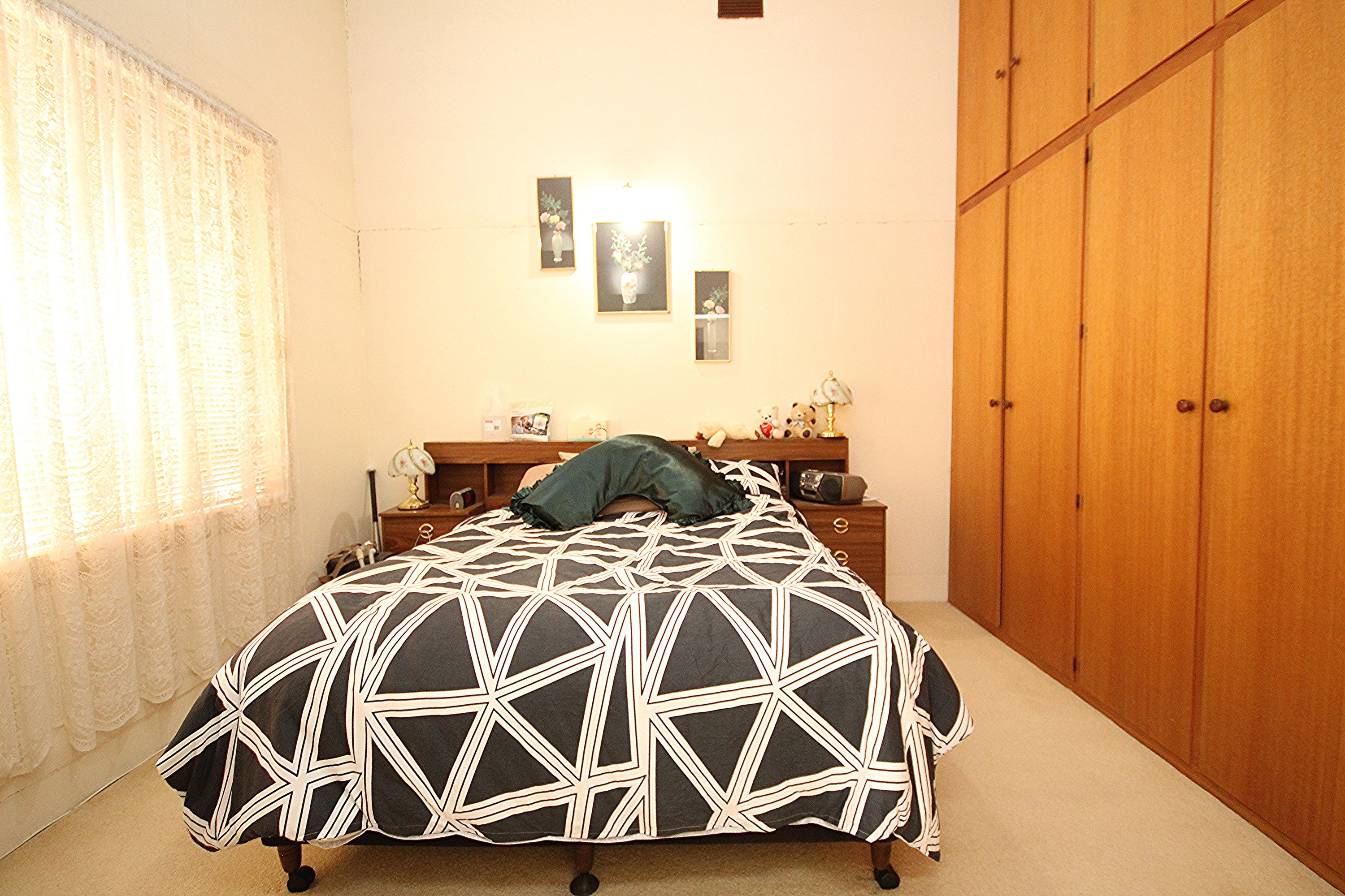 22 Henry Street, Horsham VIC 3400, Horsham - Thumbnail 5