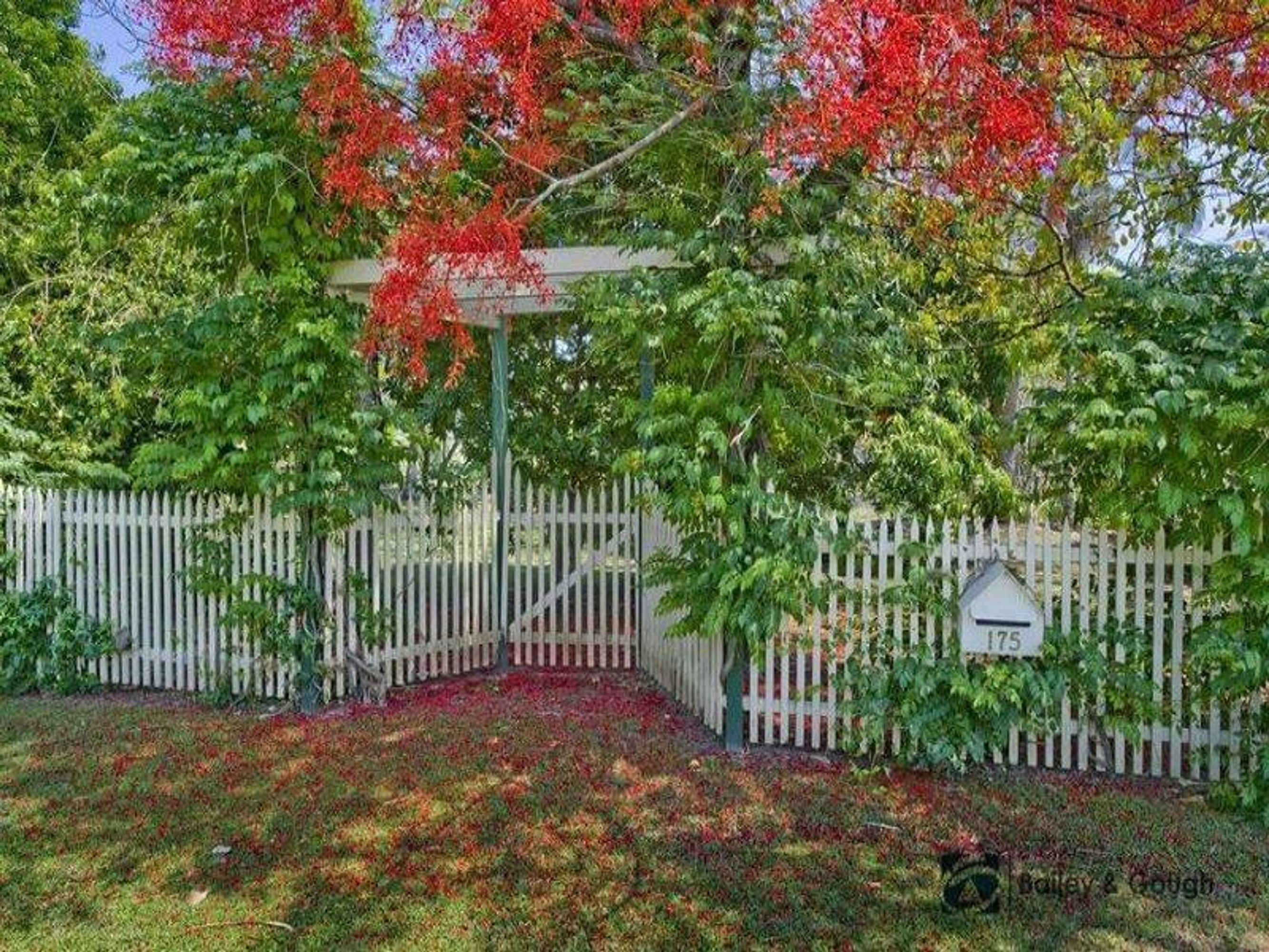 175 Mary Street, Grafton - Thumbnail 5