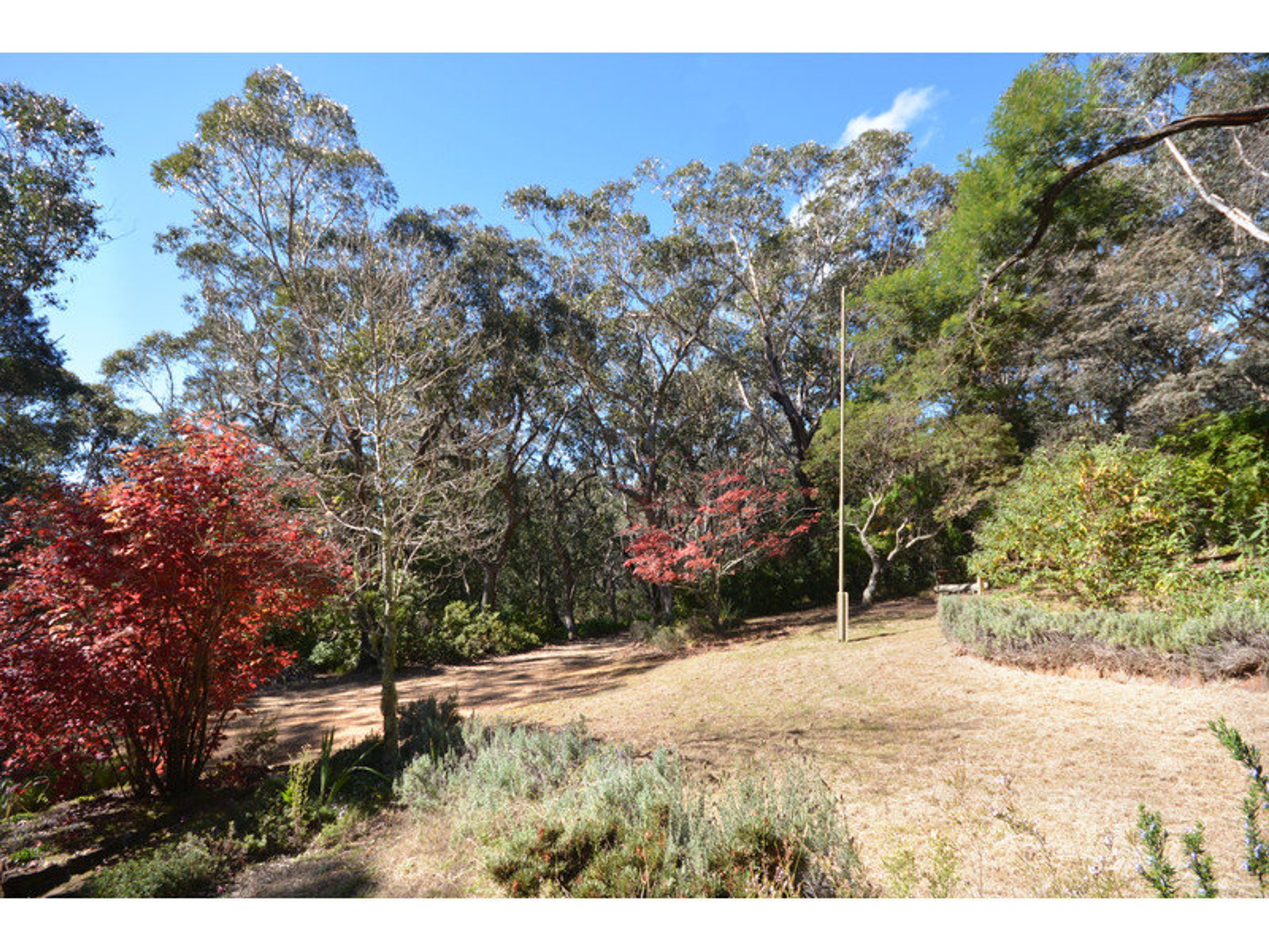 26 Explorers Road, Katoomba - Thumbnail 6