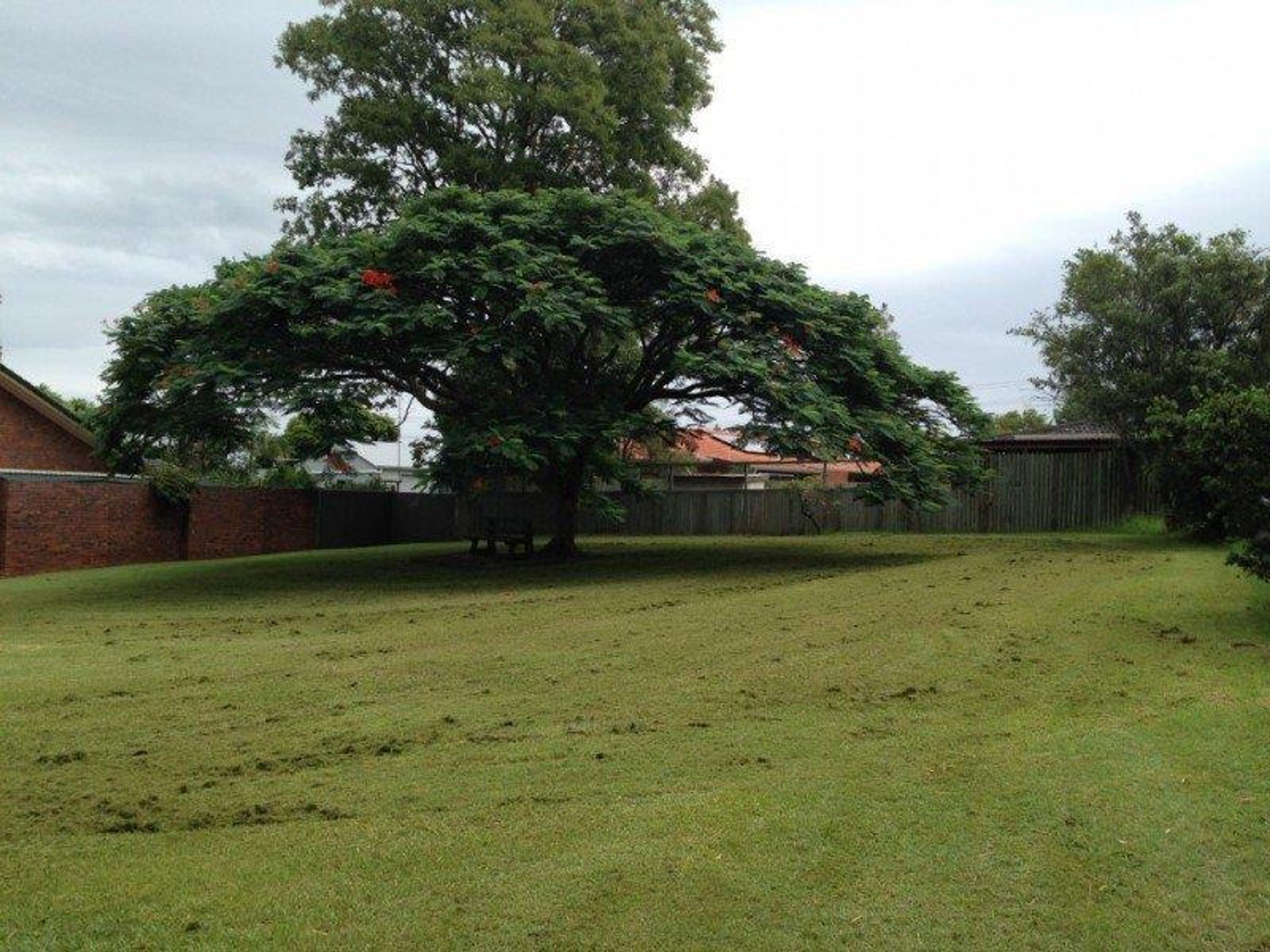 9A Figtree Avenue, Junction Hill - Thumbnail 5