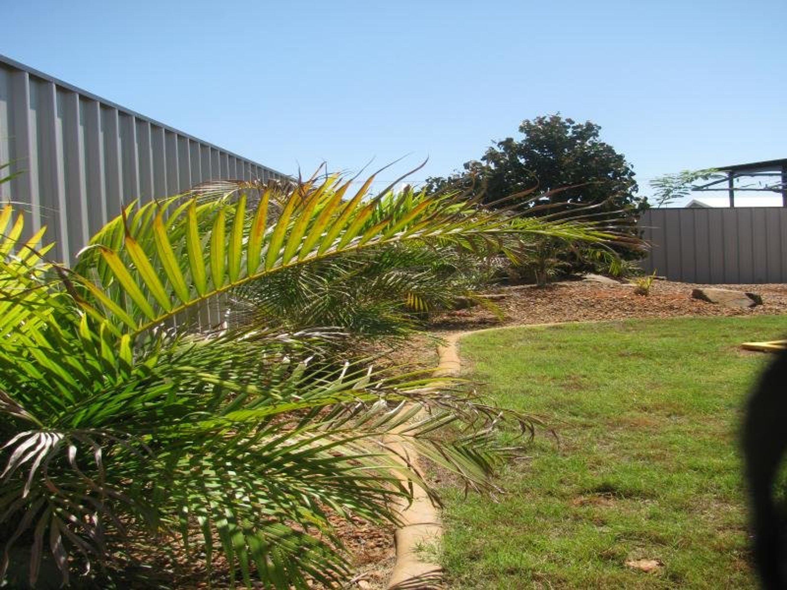 17 Dale Street, South Hedland, South Hedland - Thumbnail 3