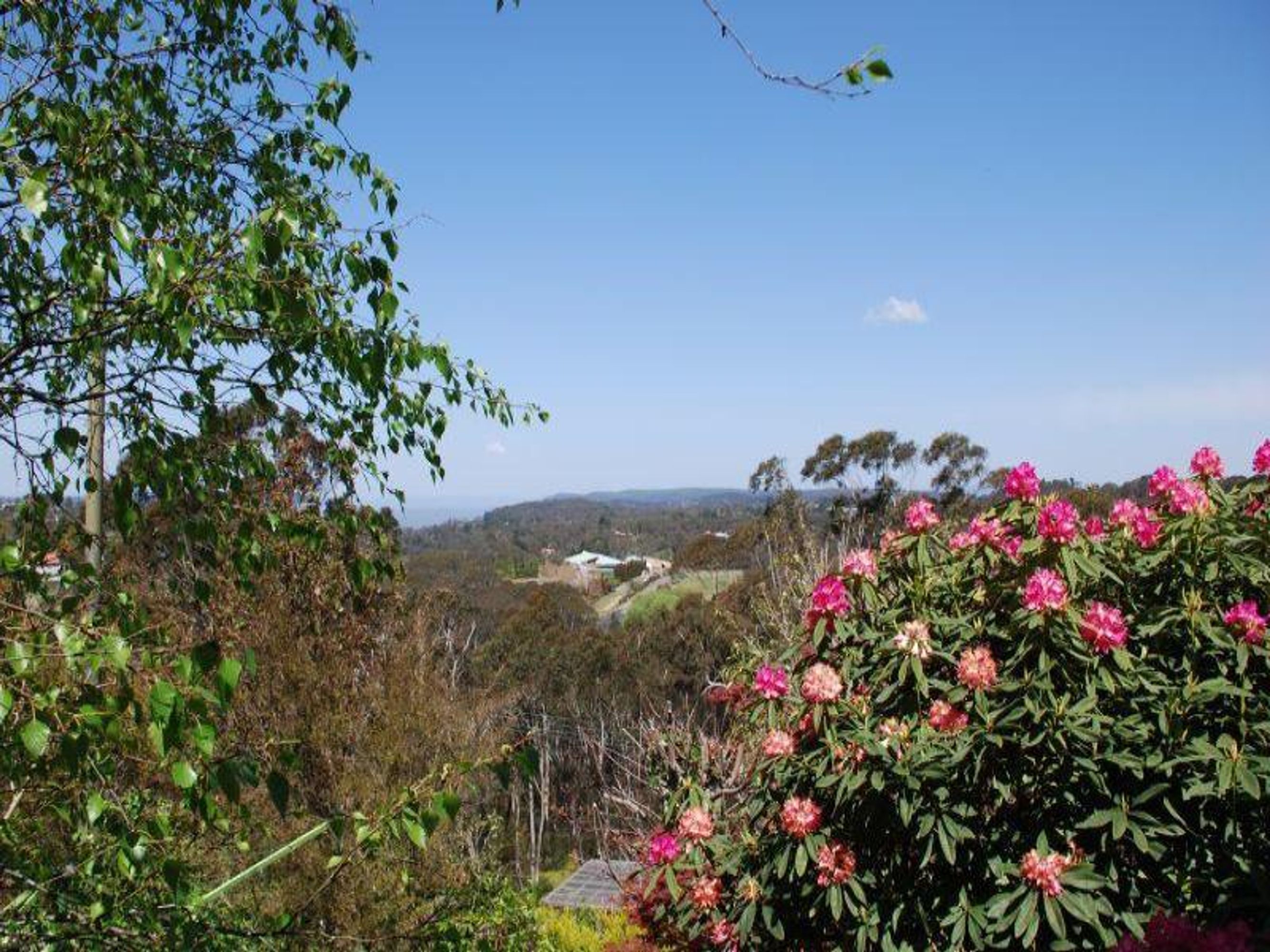46 Walgett St, Katoomba - Thumbnail 3