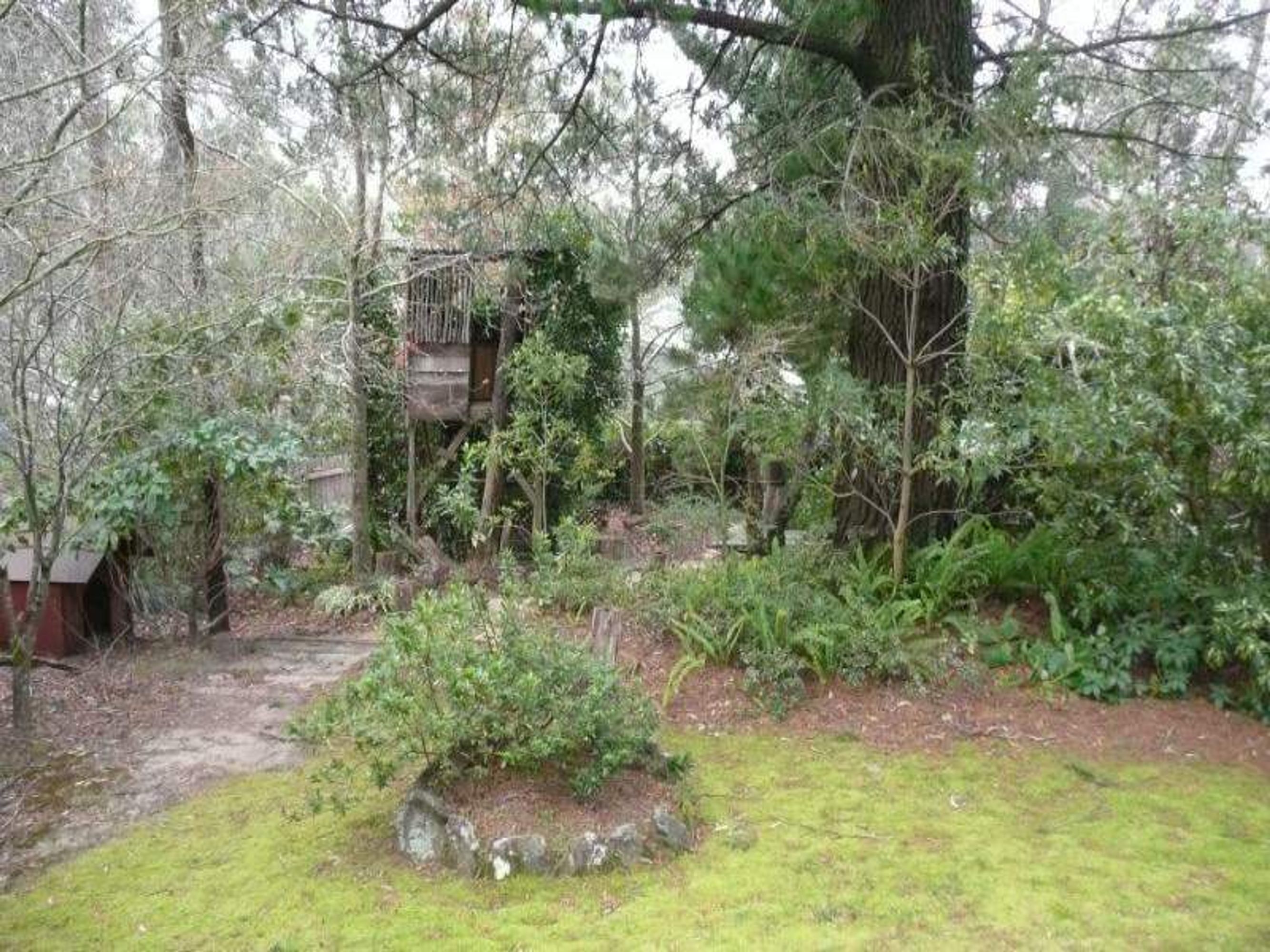8 Laurel St, Katoomba - Thumbnail 4