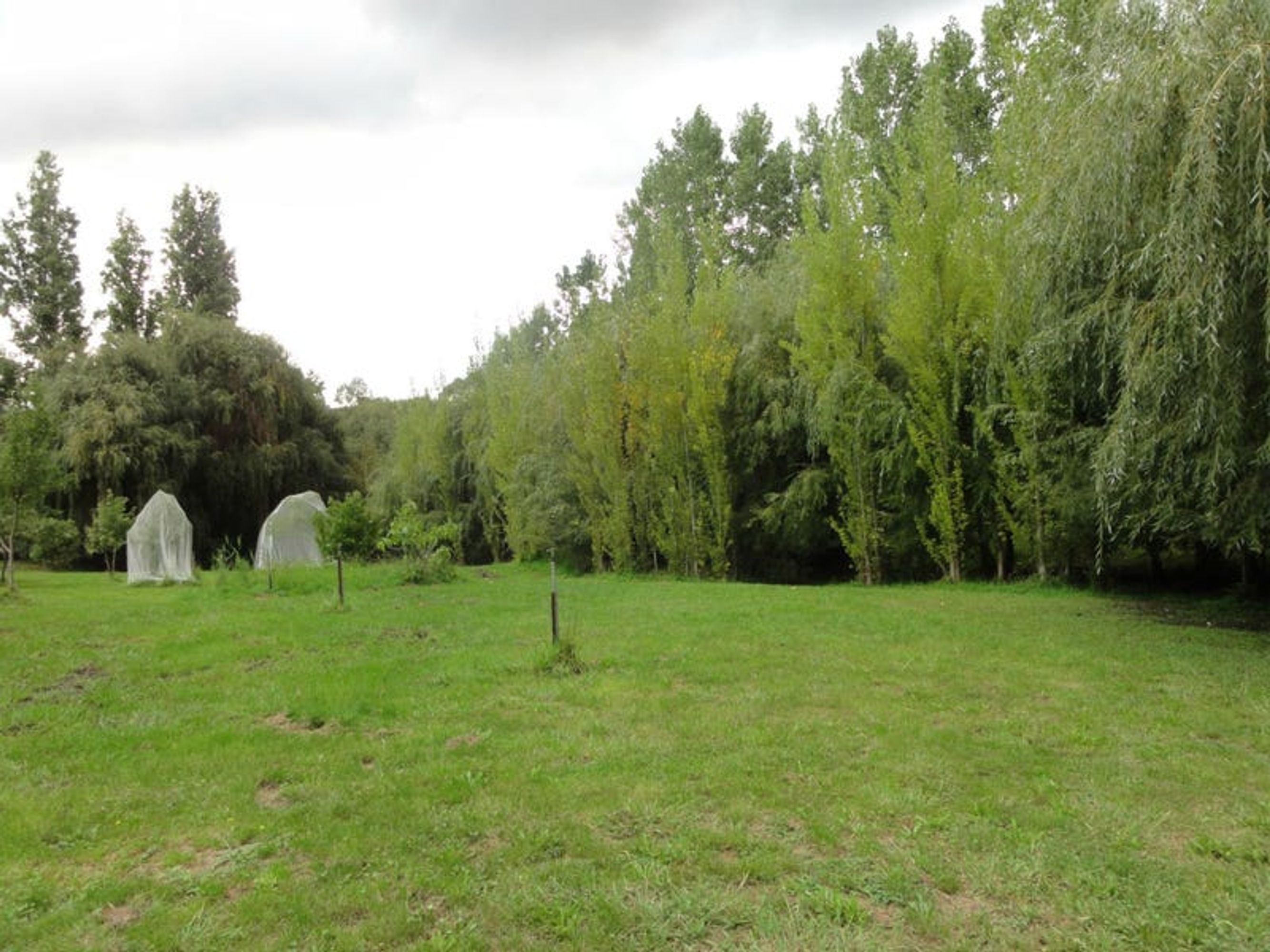 143 Boyle Swamp Road, Mylor, SA 5153, Mylor - Thumbnail 7