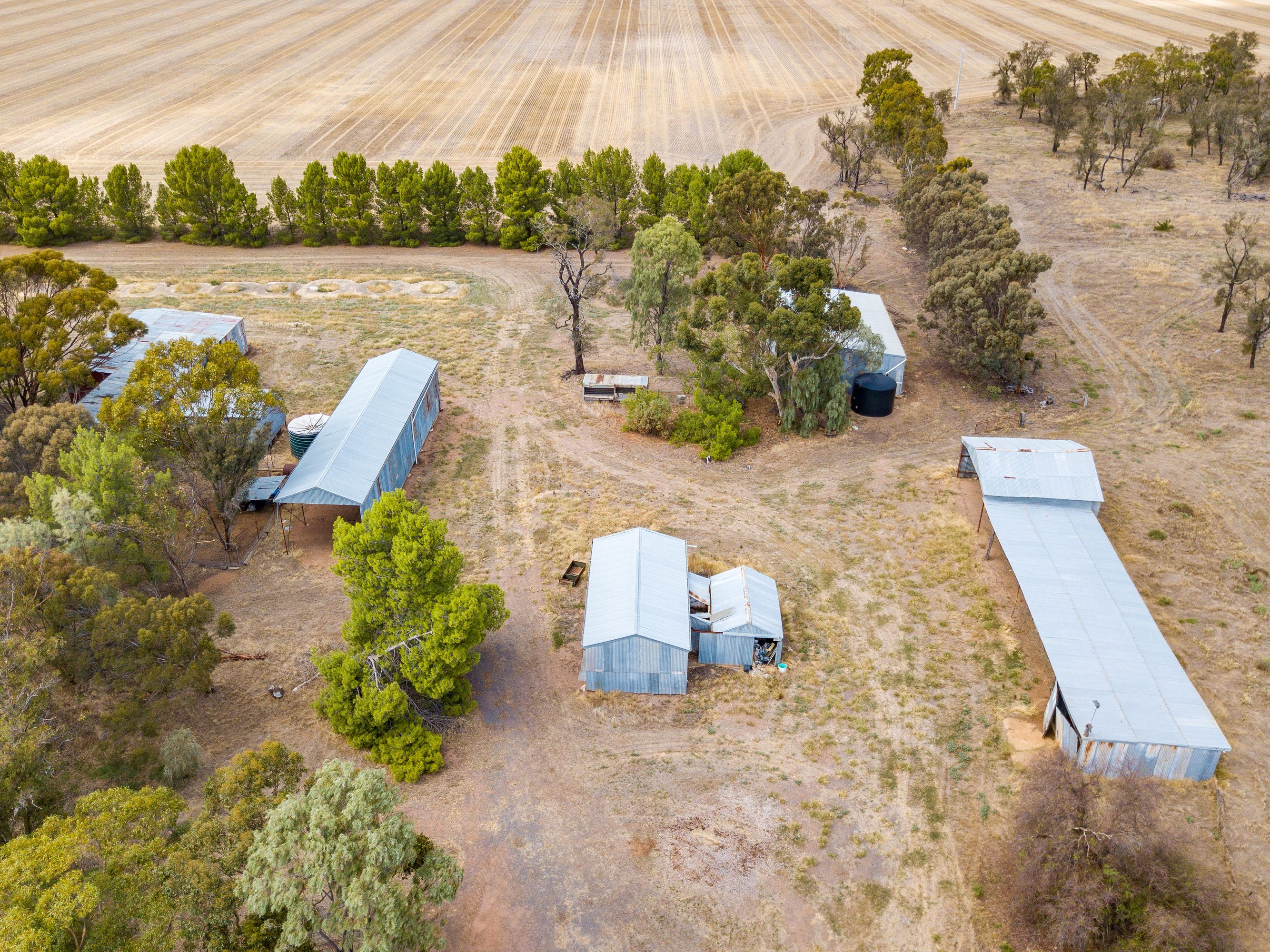 113 Hills Road, Kewell VIC 3390, Kewell - Thumbnail 7