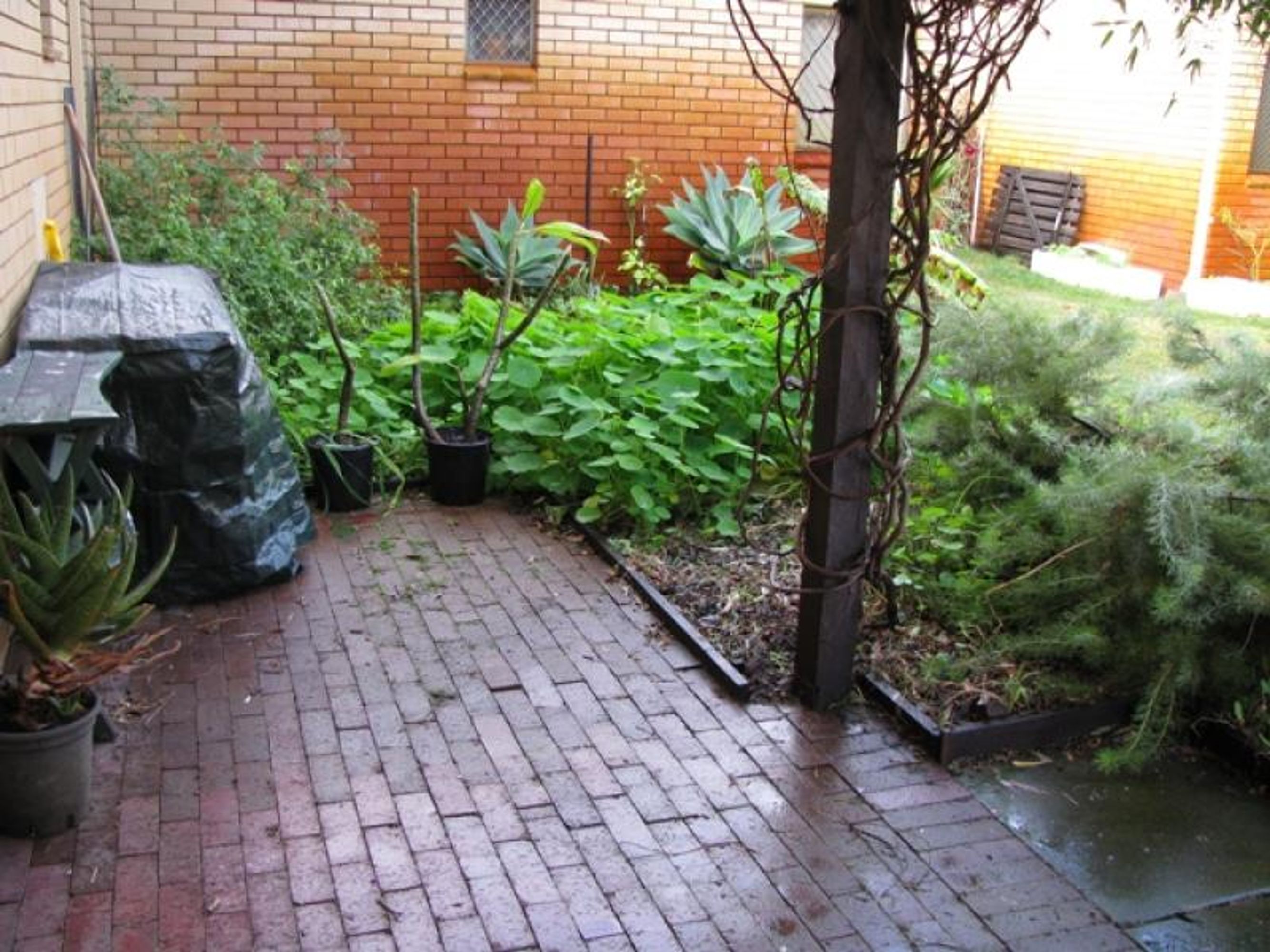 26/50 Pollard Street, Glendalough, WA 6016, Glendalough - Thumbnail 6