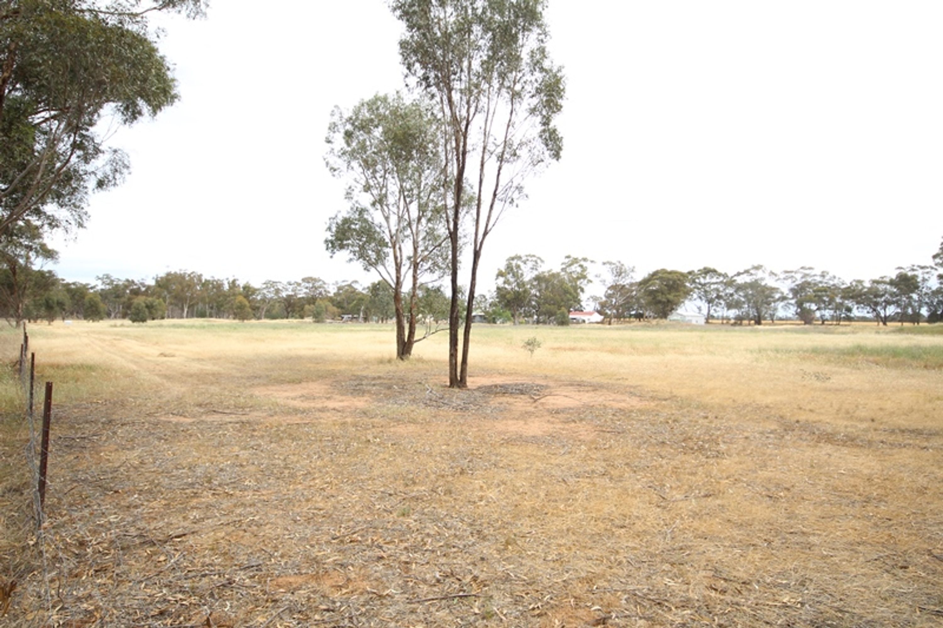 41 Wonwondah-Toolondo Road, Wonwondah VIC 3401, Wonwondah - Thumbnail 2