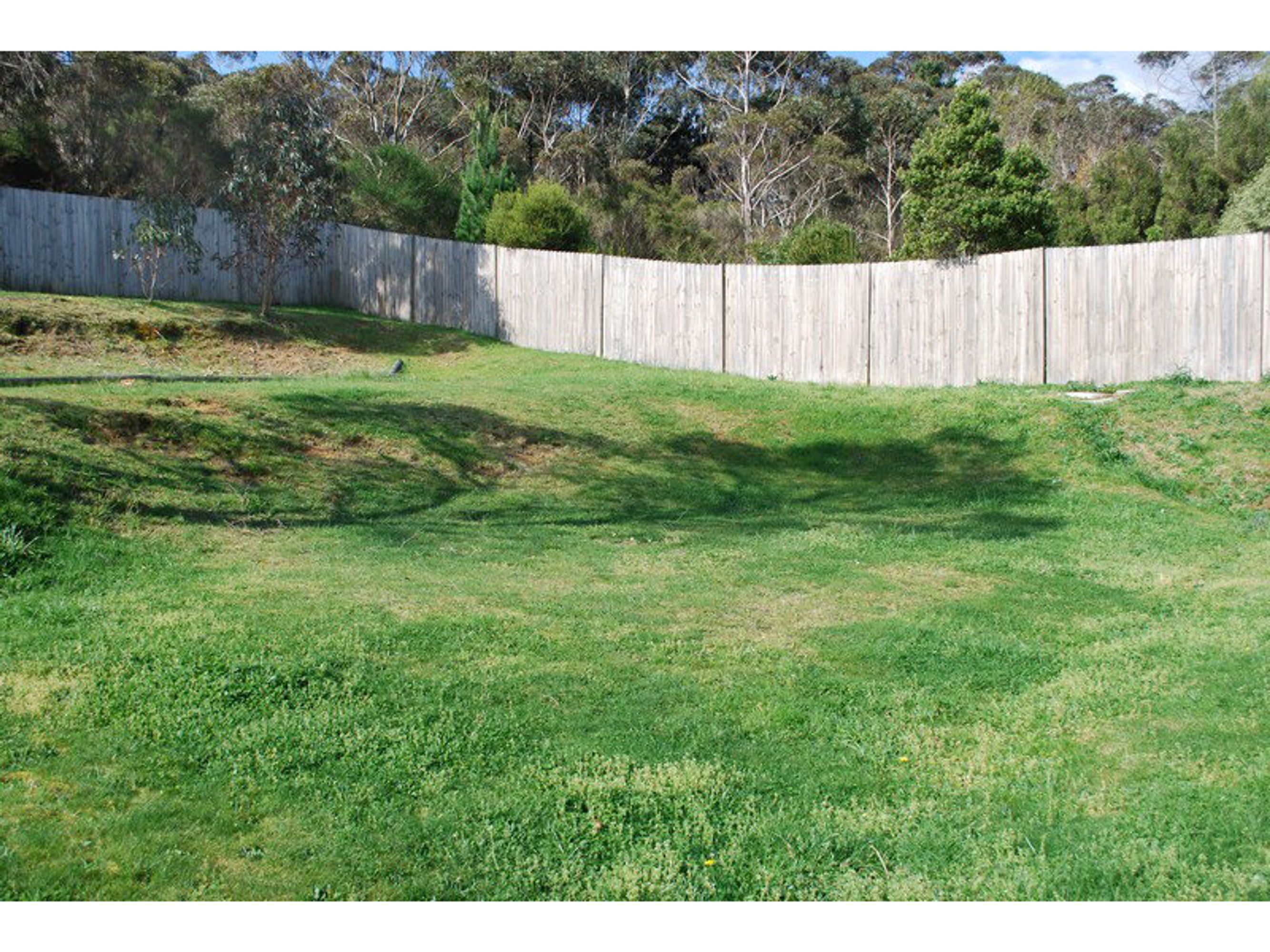 348 Cliff Drive, Katoomba - Thumbnail 6