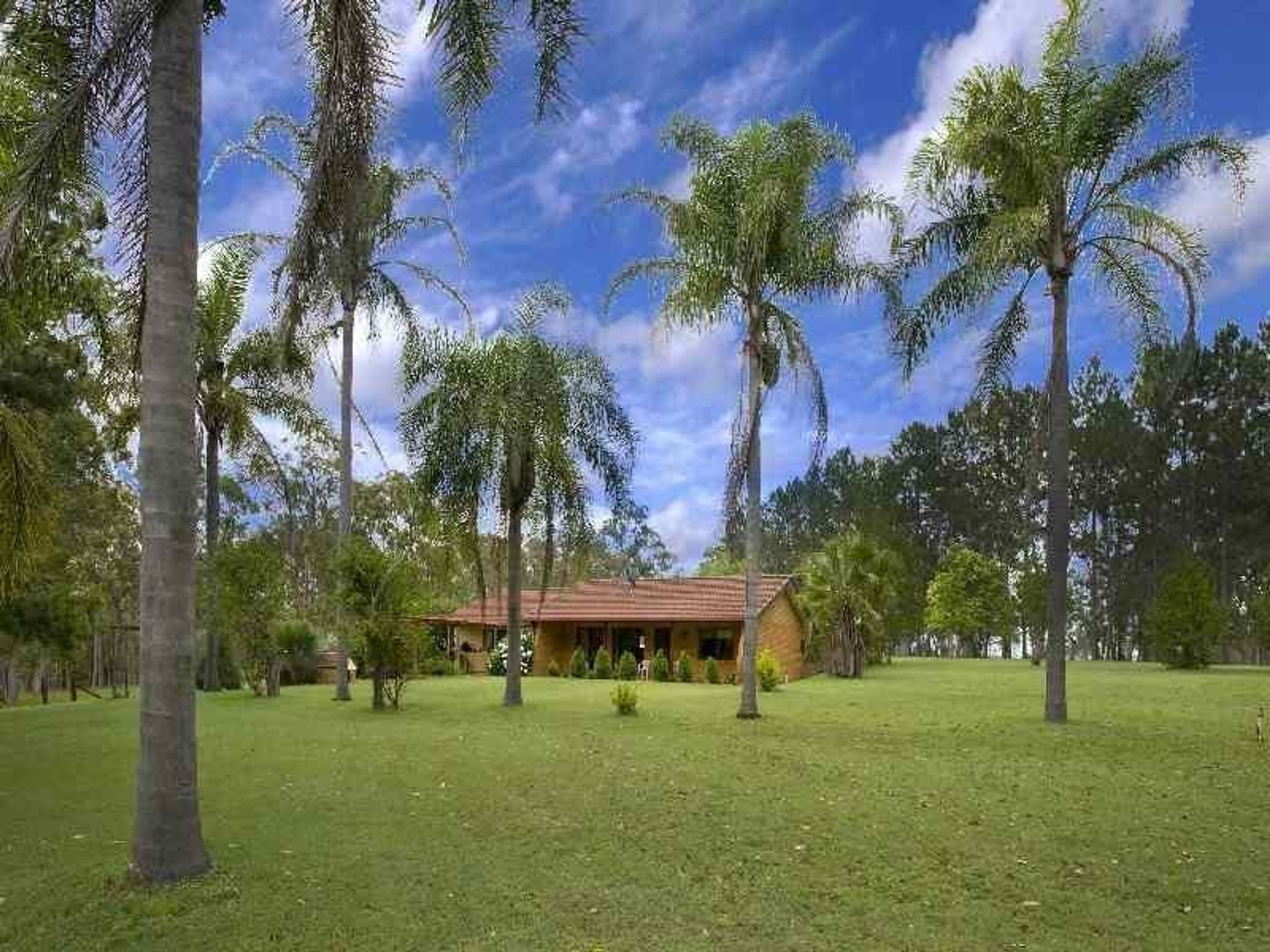 186 Whiteman Creek Road, The Whiteman - Thumbnail 4