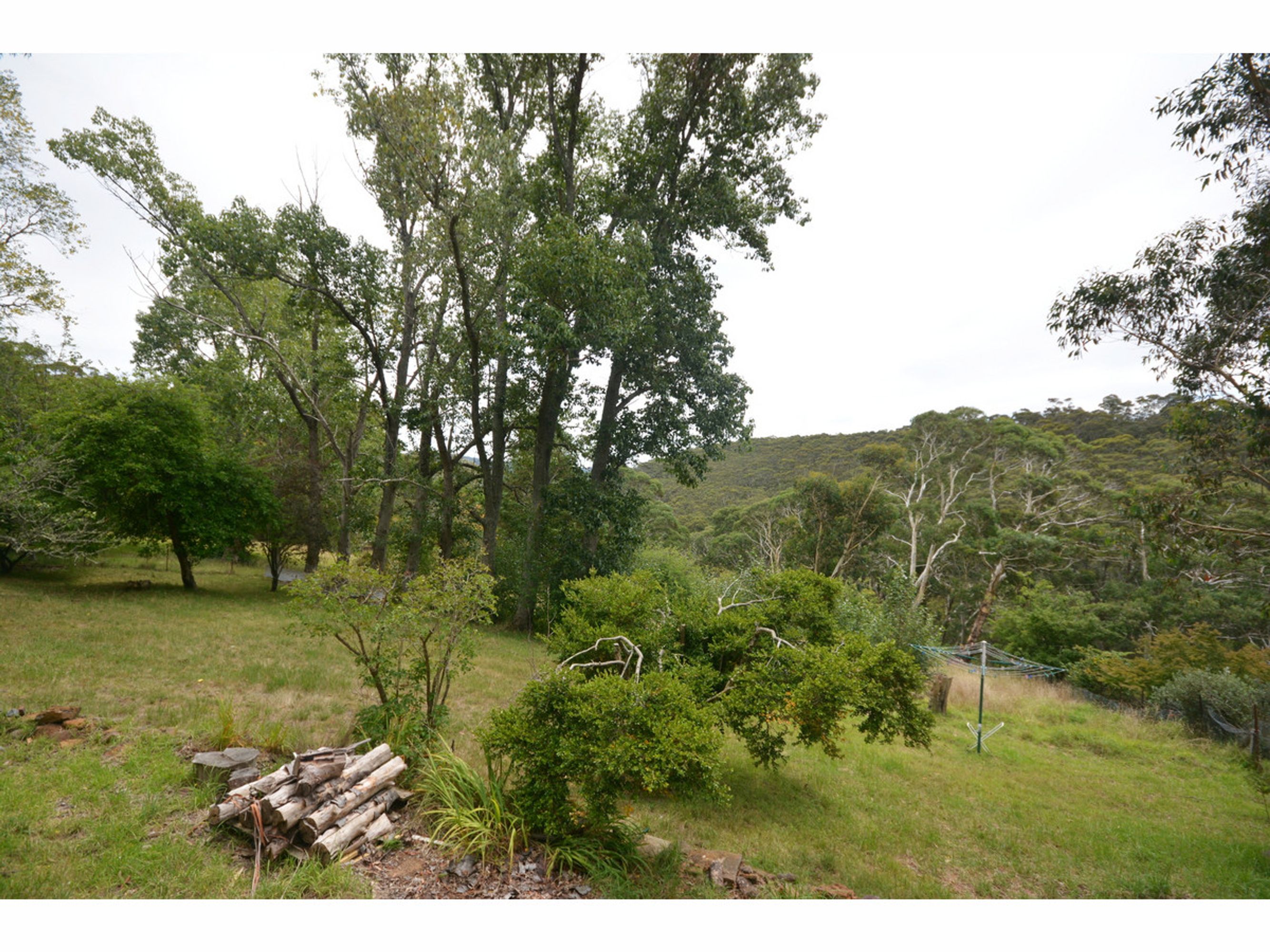 23 Pulpit Hill Road, Katoomba - Thumbnail 2