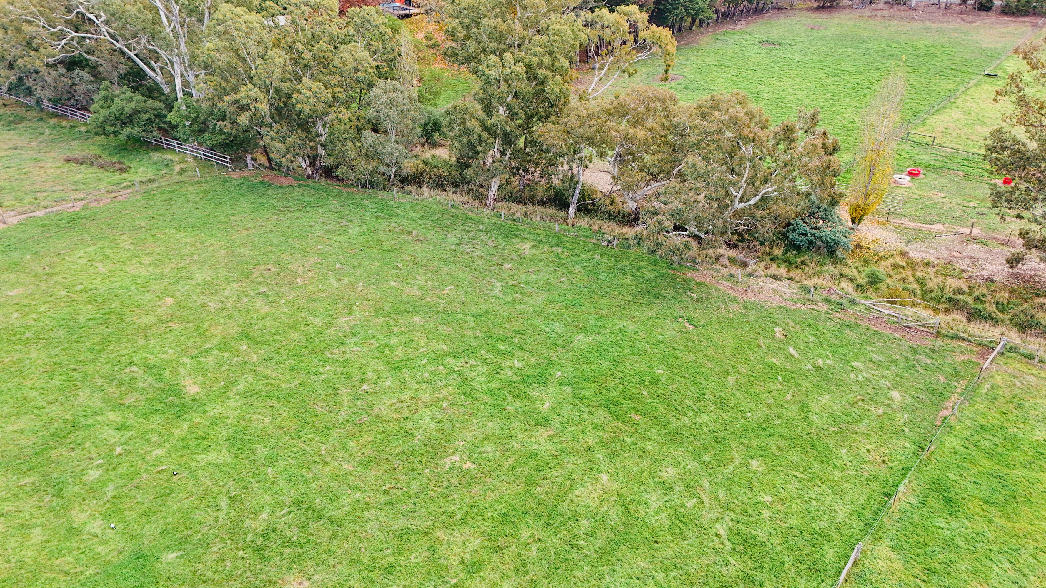 230 Nankervis Road, Mandurang, Mandurang - Thumbnail 3