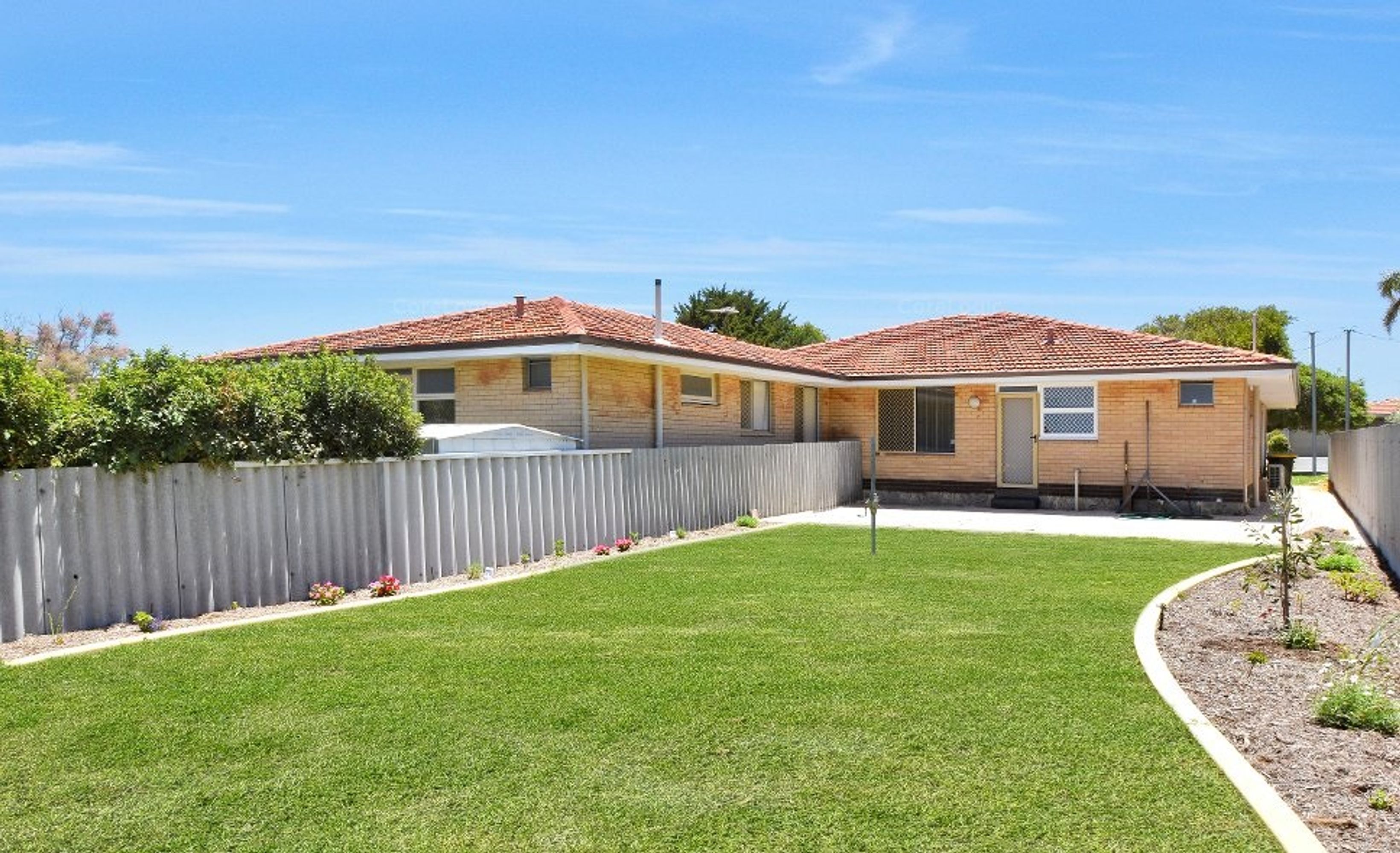 62 Wilkie Street, Stirling - Thumbnail 5