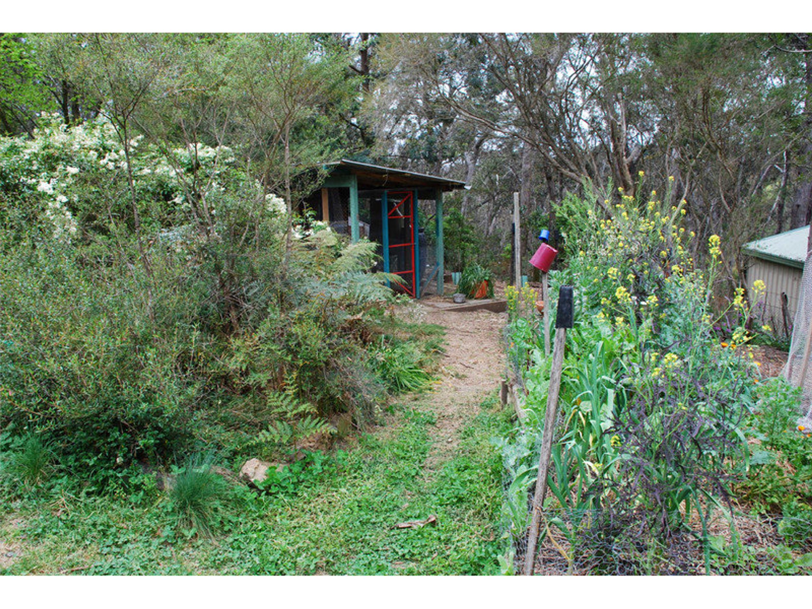 29 Fourth Avenue, Katoomba - Thumbnail 6