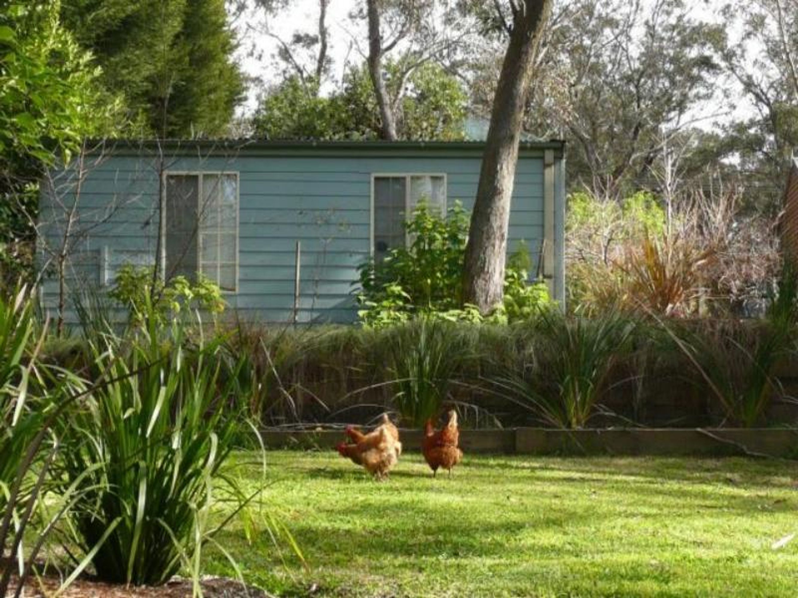 39 Fourth Ave, Katoomba - Thumbnail 8