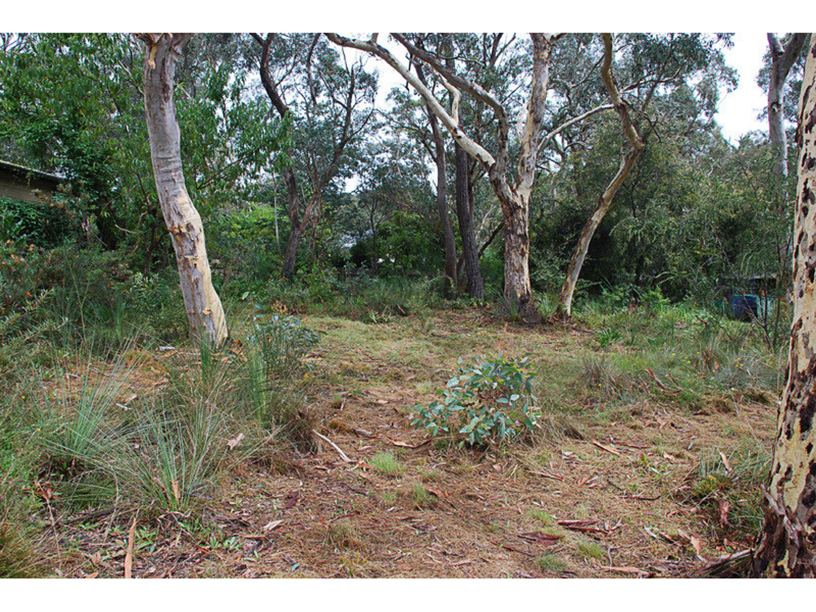 90 Minni Ha Ha Road, Katoomba - Thumbnail 2
