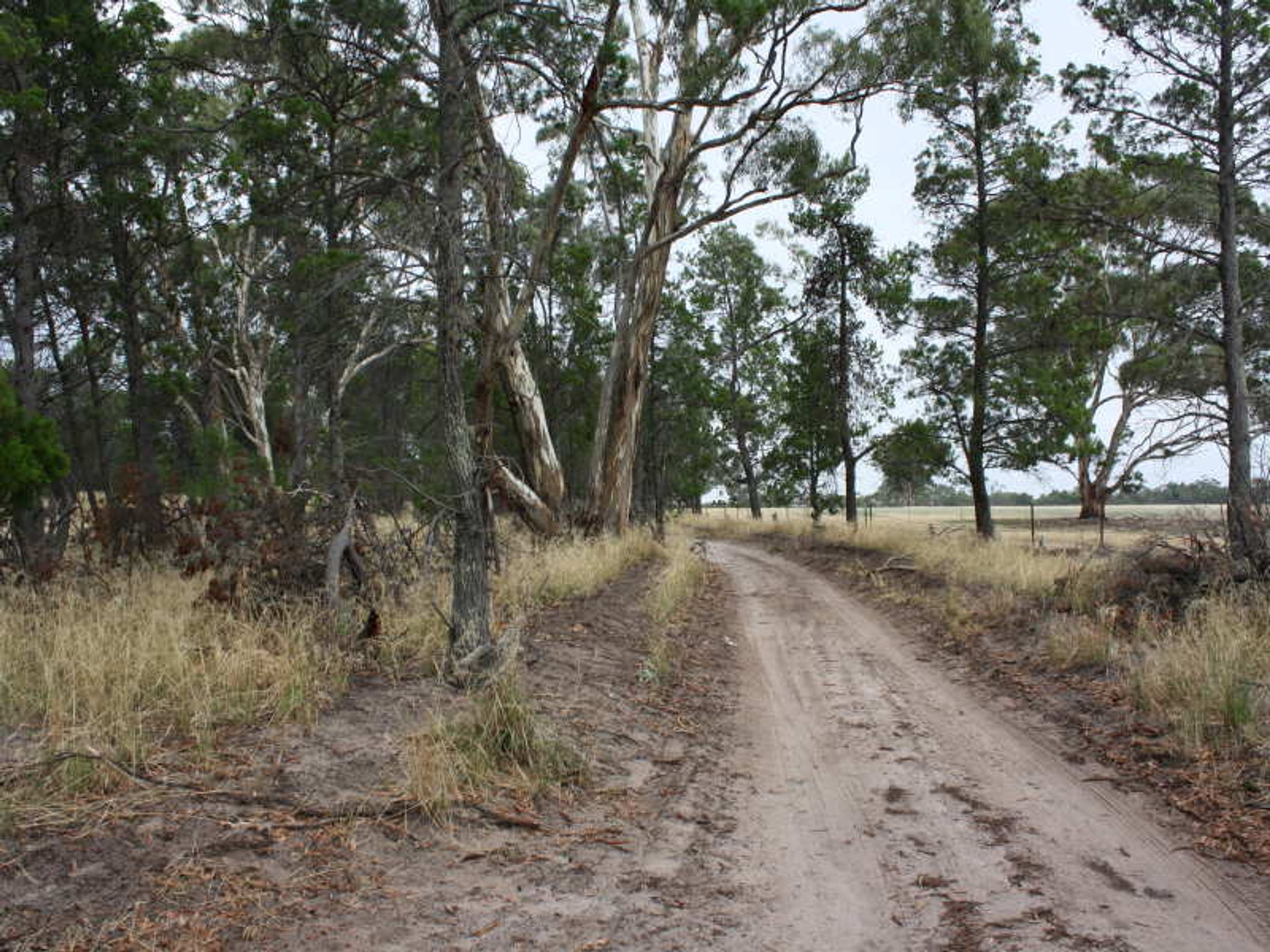 63, Dimboola - Thumbnail 2