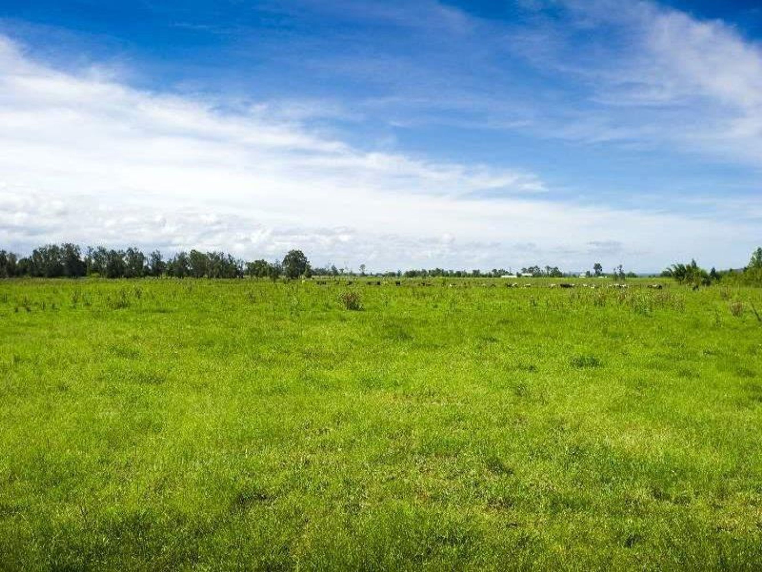 434 Lower Coldstream Road, Coldstream - Thumbnail 4