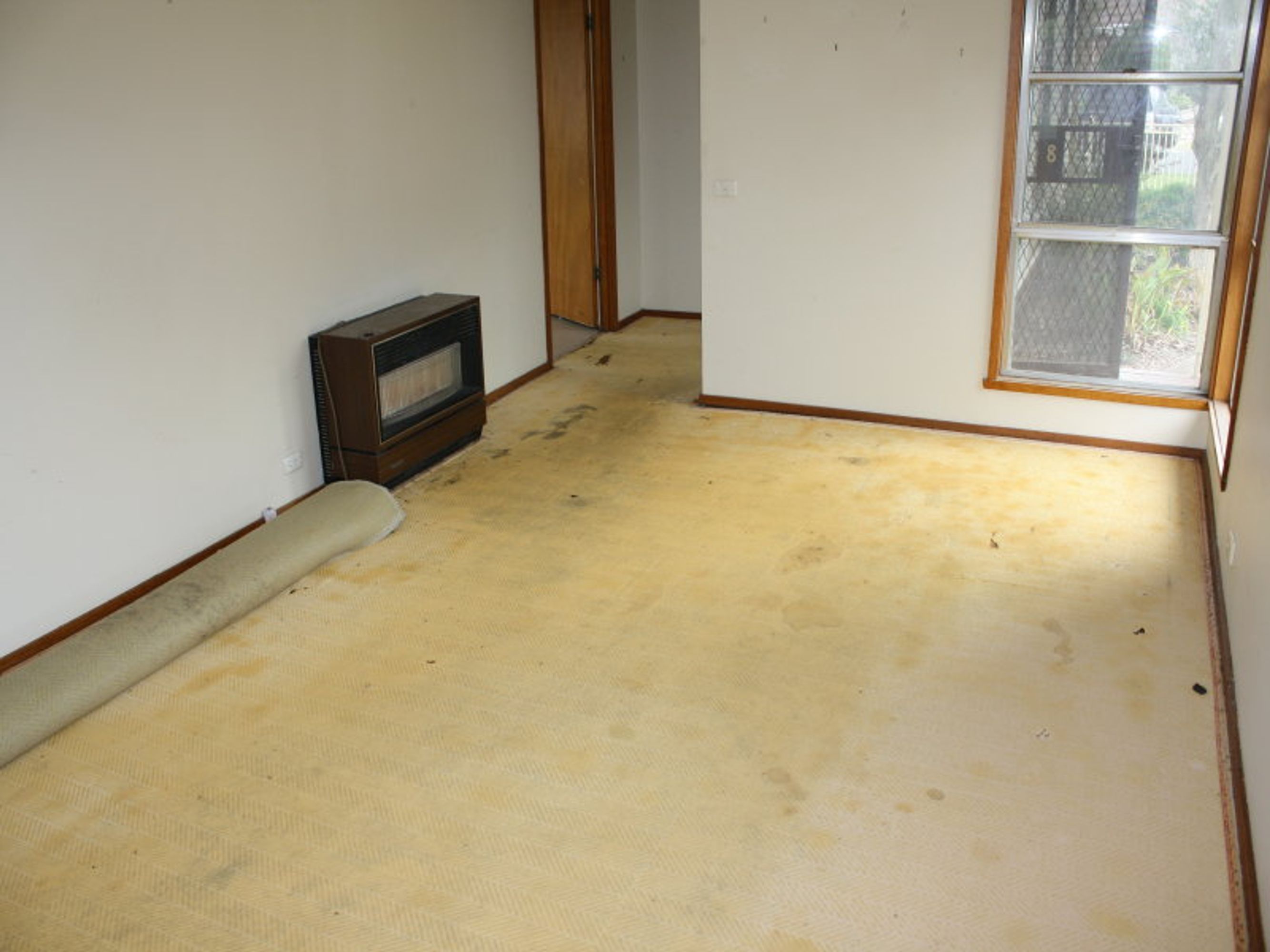 8 Shirley Street, Horsham VIC 3400, Horsham - Thumbnail 3