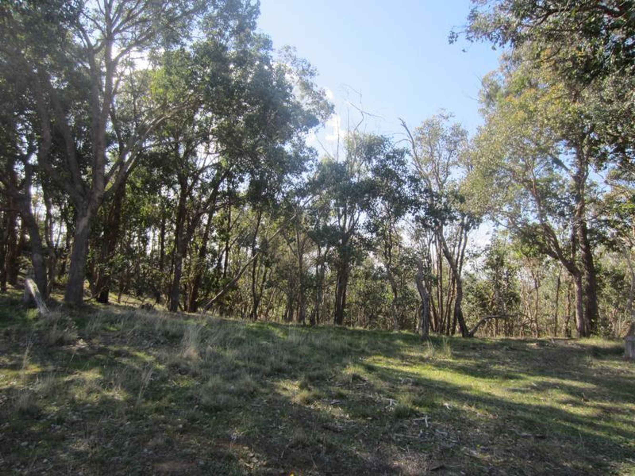 benalla, Benalla - Thumbnail 3