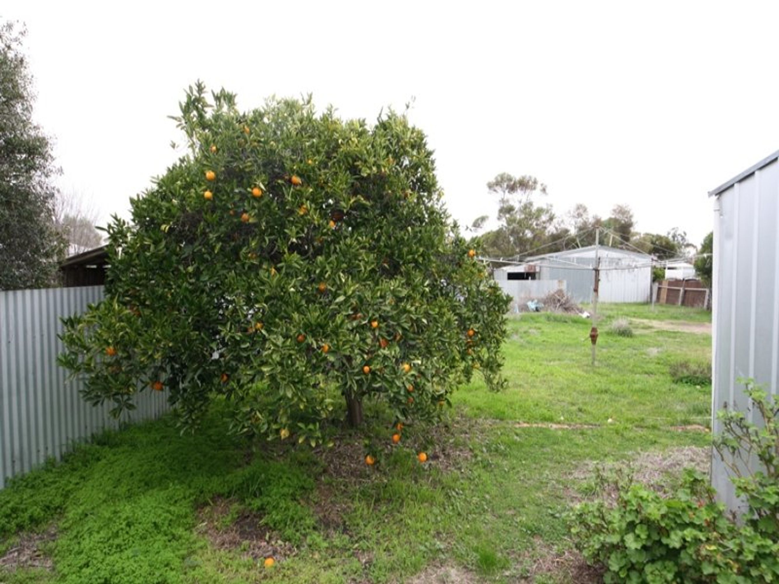 6 Lloyd Street, Murtoa VIC 3390, Murtoa - Thumbnail 5